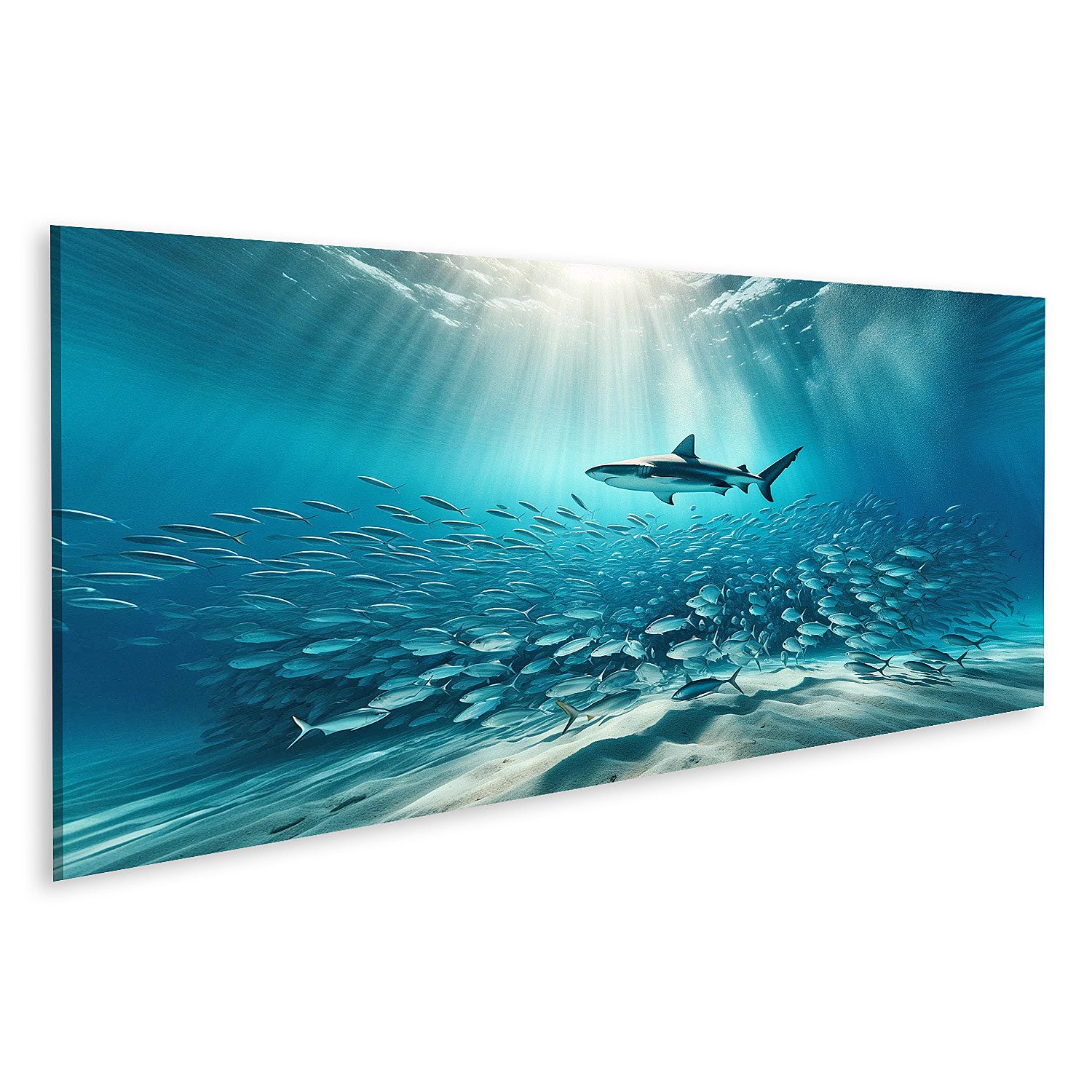 islandburner Leinwandbild Stille Unterwasserwelt: Hai umgeben günstig online kaufen