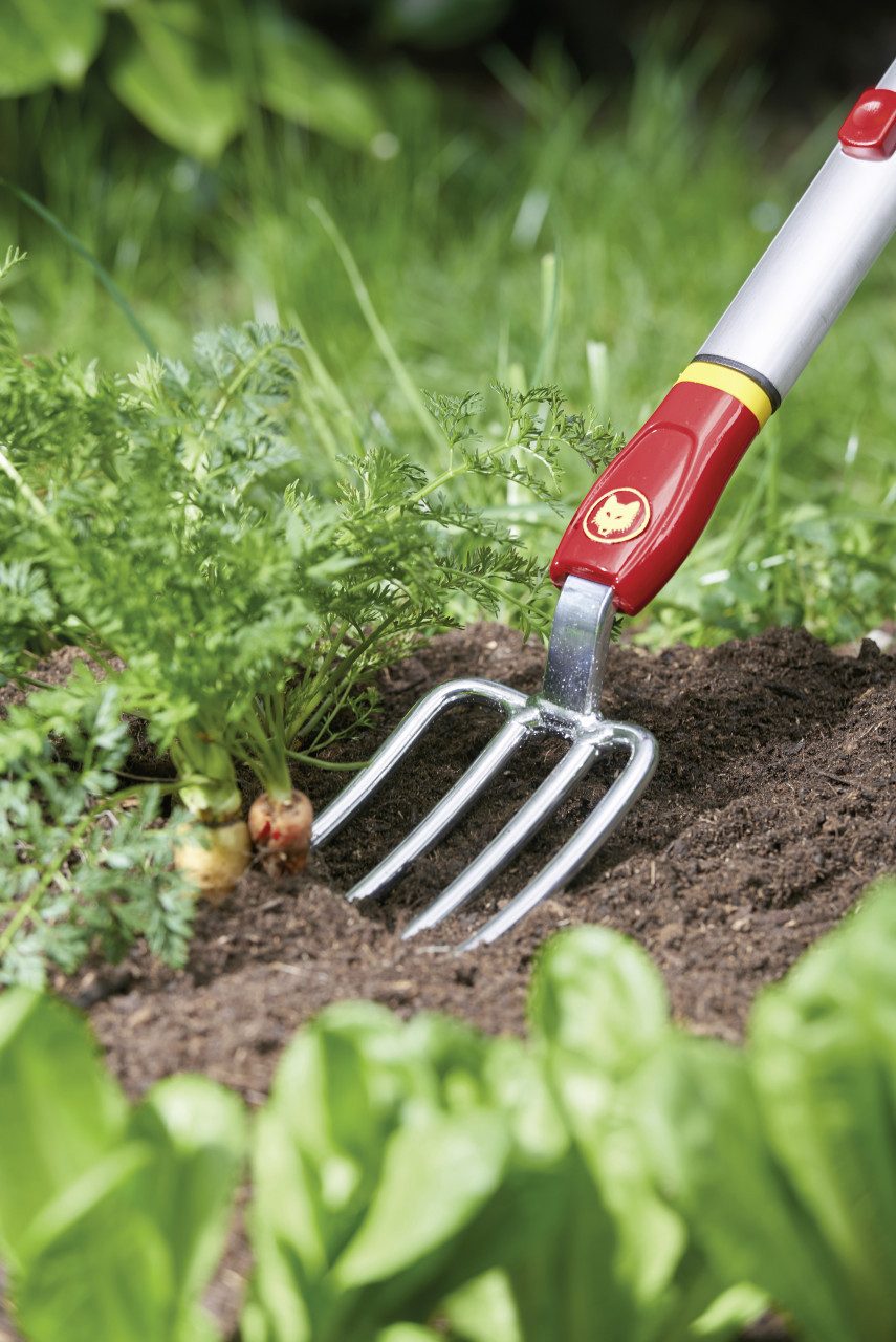 WOLF-Garten Spaten Wolf Garten Blumengabel LU-GM 7,5 cm Arbeitsbreite