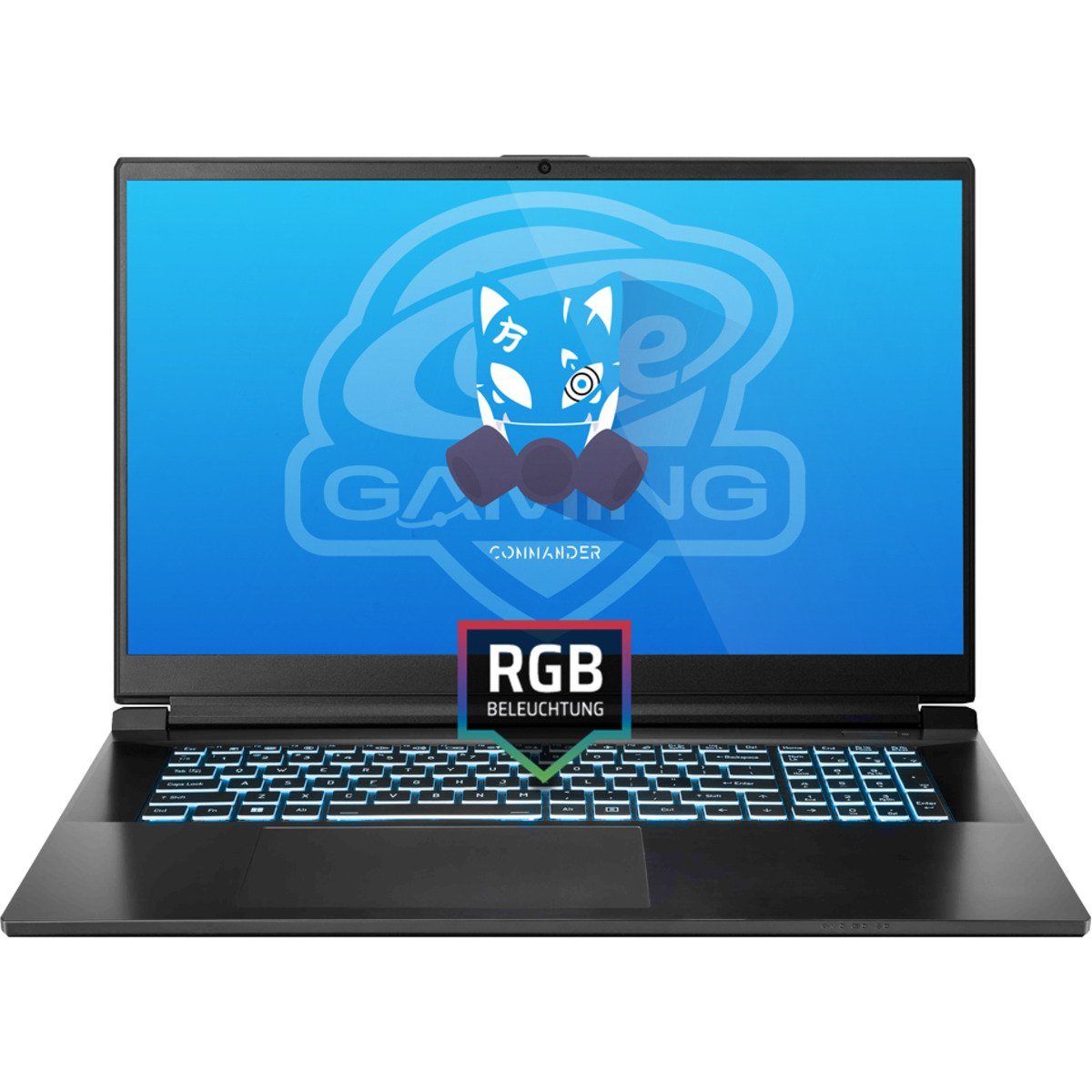 ONE GAMING ONE GAMING Commander V73-13NB-RN7 Gaming-Notebook (Intel Core i9 Serie 13. Generation Core i9-13900H, GeForce RTX 4000)