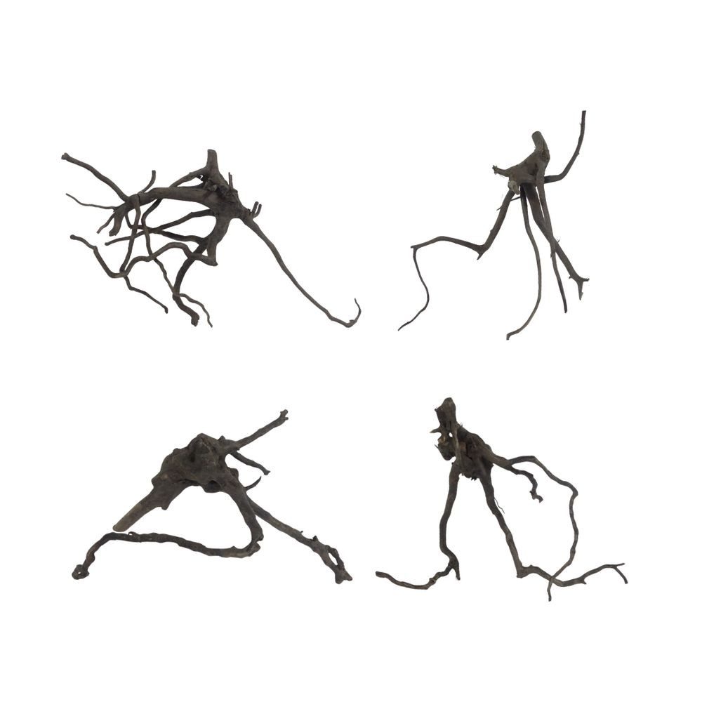 Aquaone Aquarium Black Spider Wurzel M 15-25 cm von Aquaone