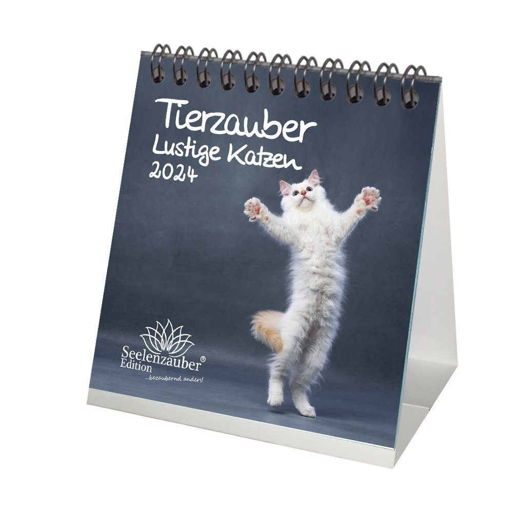 Lustige　x　für　Katzen　10cm　Tierzauber　10cm　2024　Format　lustige　Tischkalender　Seelenzauber　Kalender