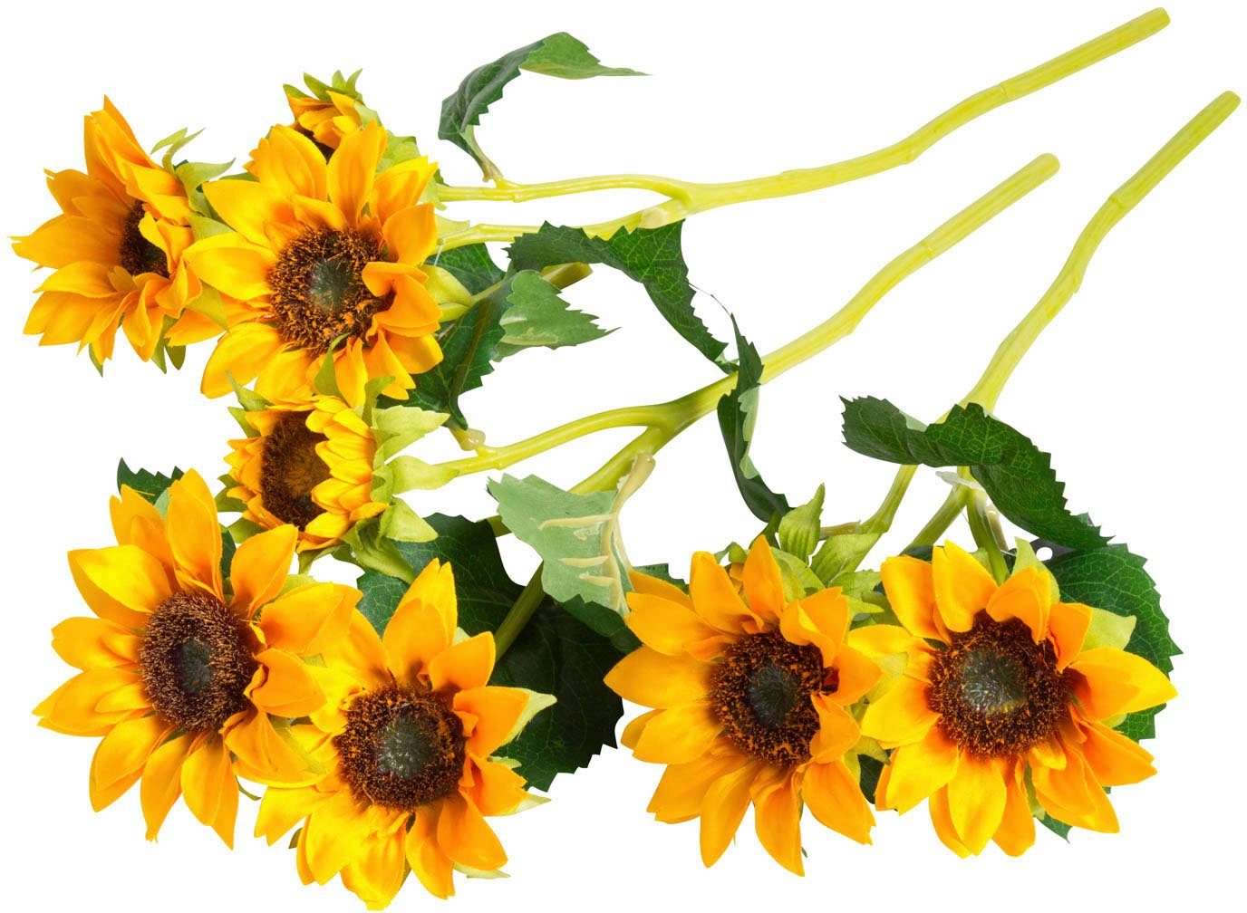 Kunstblume Sonnenblume Sonnenblume, Botanic-Haus, Höhe 38 cm, Auch ohne  grünen Daumen bleiben hier die Blüten schön