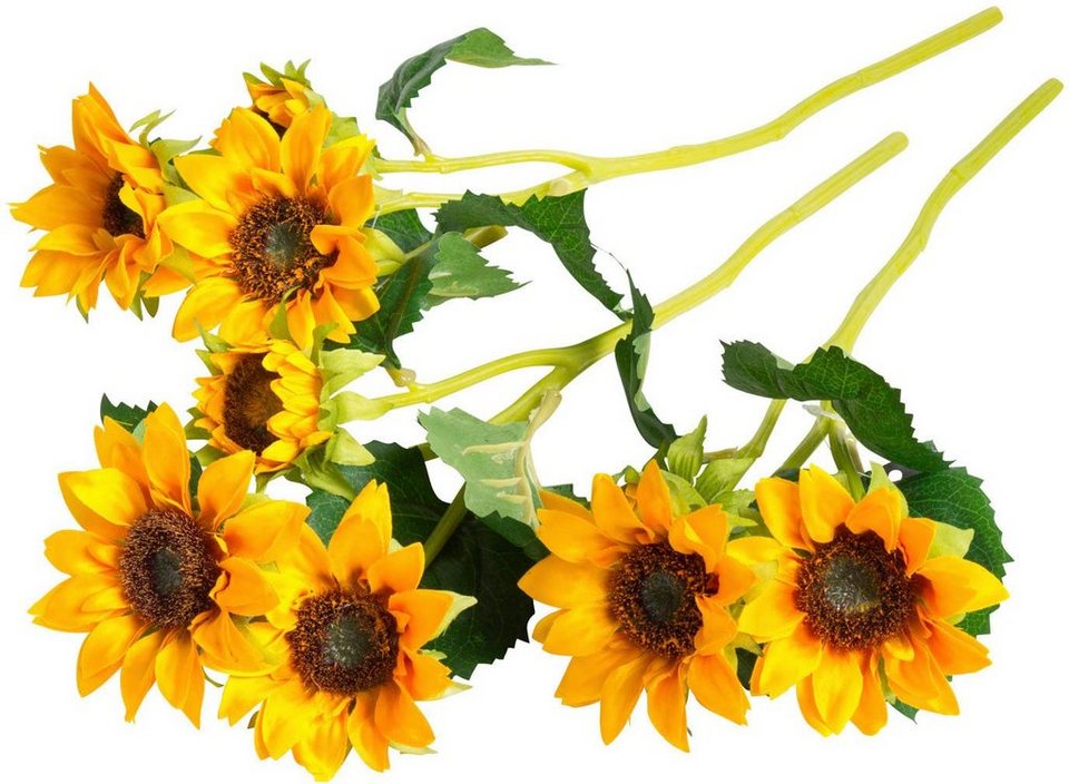 Kunstblume Sonnenblume Sonnenblume, Botanic-Haus, Höhe 38 cm, Auch ohne  grünen Daumen bleiben hier die Blüten schön