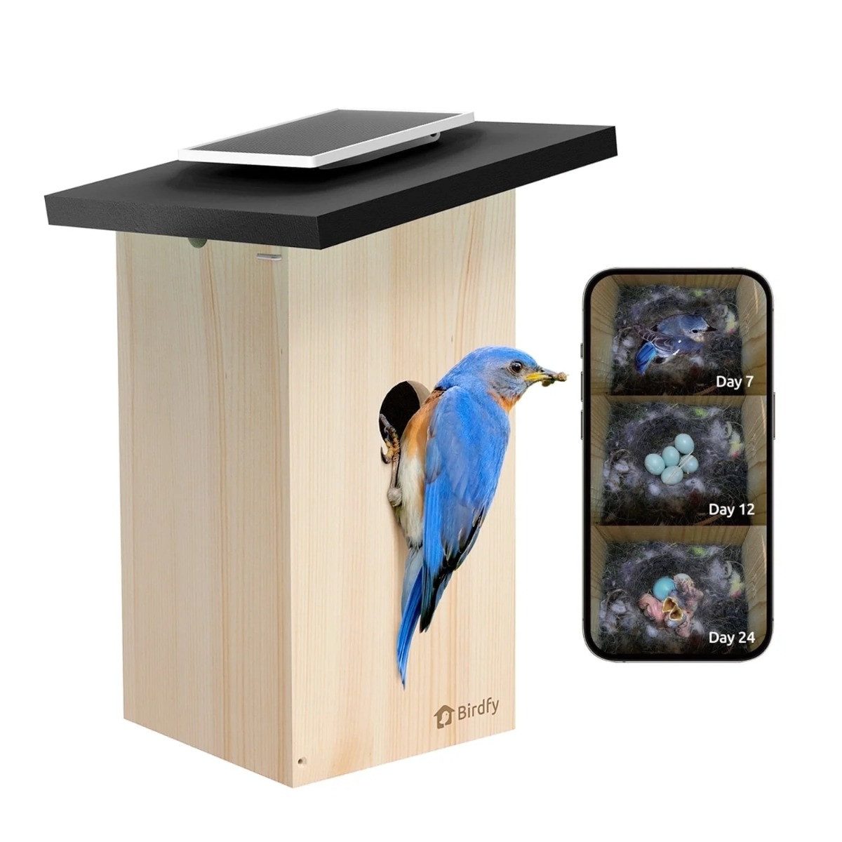 Birdfy Vogelhaus Birdhouse Ebony Lite, Nistkasten mit KI-Kamera, Solar