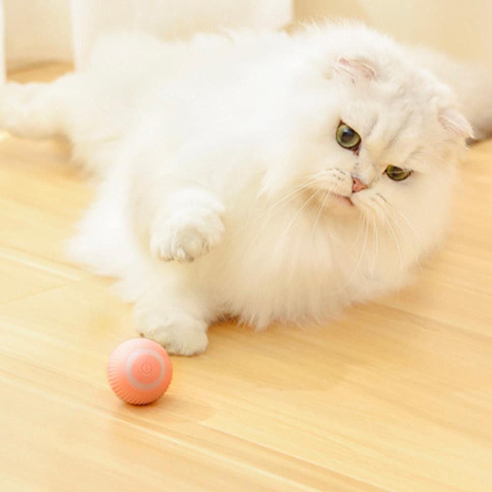 DOPWii Tier-Intelligenzspielzeug Interaktives Katzenspielzeug Ball, mit LED günstig online kaufen