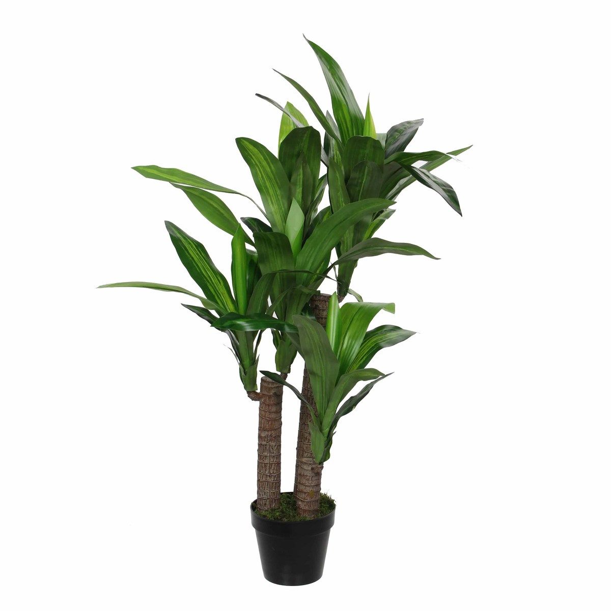 Kunstpflanze Mica Decorations Dracaena In Topf gruen - h110xd60cm, Mica Decorations, Höhe 110 cm