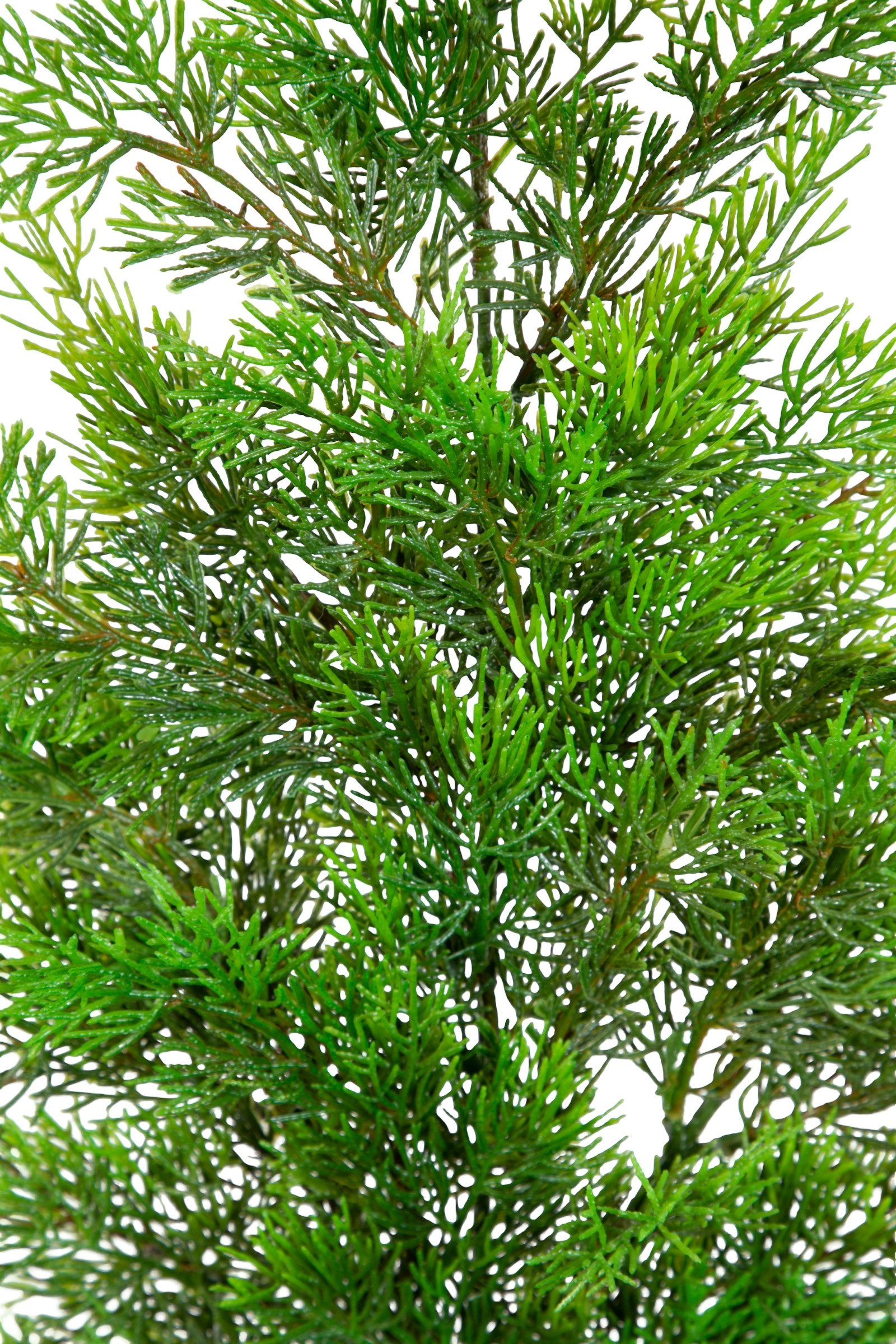 Kunstzweig Zedernzweig Nature ZJ Kunststoff 100% PE Spritzguss künstliche Zeder, Seidenblumen Roß, Länge: cm 50cm – Bild 5 von 5