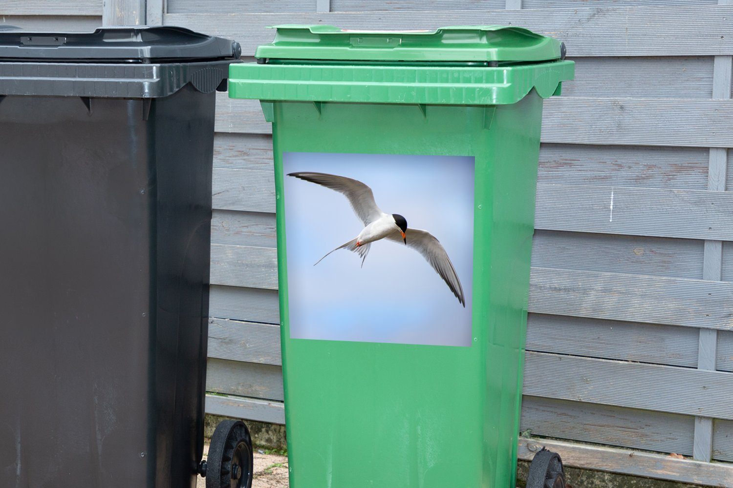 Sticker, Himmel Wandsticker Abfalbehälter Eine Container, am MuchoWow Mülltonne, Weißflügelseeschwalbe blauen Mülleimer-aufkleber, (1 fliegt St),