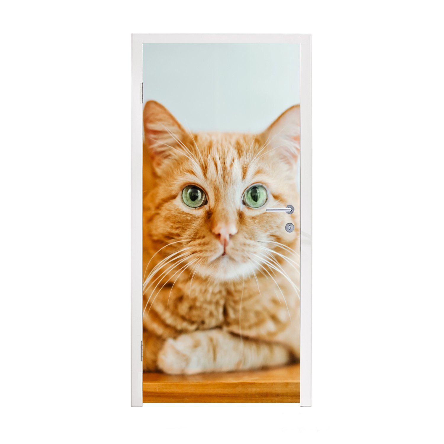 MuchoWow Türtapete Katze - Holz - Schrank, Matt, bedruckt, (1 St), Fototapete für Tür, Türaufkleber, 75x205 cm