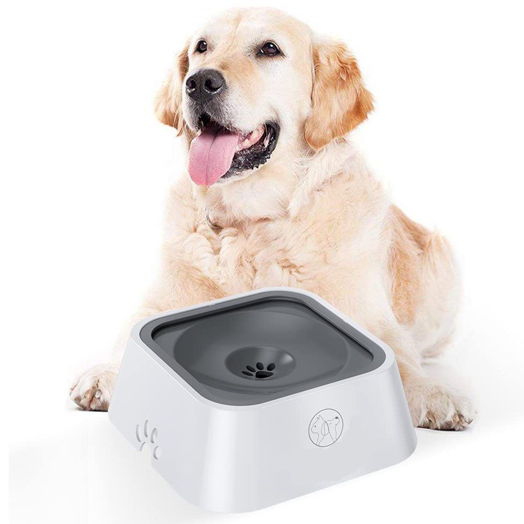 BEARSU Trinkbrunnen »Haustier-Wassernapf, Anti-Überlauf-Auftriebs-Wassernapf  für Hunde und Katzen, tragbarer Trink-Trinkbehälter für den Innen- und  Außenbereich, rutschfester, nicht nasser Mund, BPA-frei« online kaufen |  OTTO