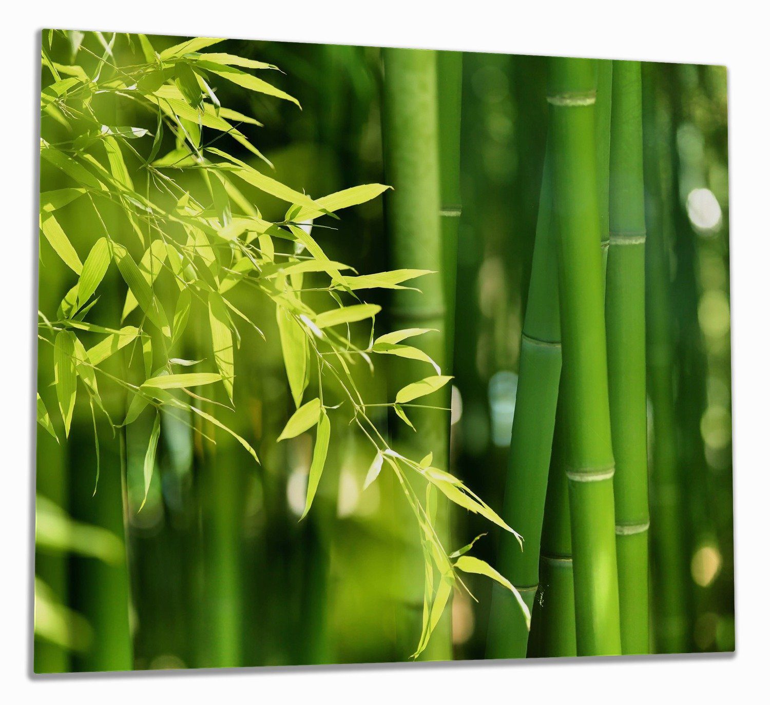 Wallario Herd-Abdeckplatte Bambuswald mit grünen Bambuspflanzen, ESG-Sicherheitsglas, (Glasplatte, 1 tlg., inkl. 5mm Noppen), verschiedene Größen