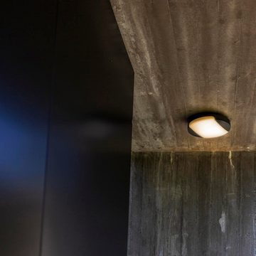 click-licht LED Außen-Wandleuchte LED Wand- und Deckenleuchte Sweep in Anthrazit 23,5W 1600lm IP54, keine Angabe, Leuchtmittel enthalten: Ja, fest verbaut, LED, warmweiss, Aussenlampe, Aussenwandleuchte, Outdoor-Leuchte