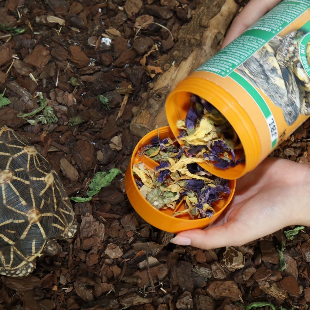 Thumbnail - JBL GmbH & Co. KG Terrariendeko JBL PROTERRA FLORSIL für Landschildkröten 1000 ml