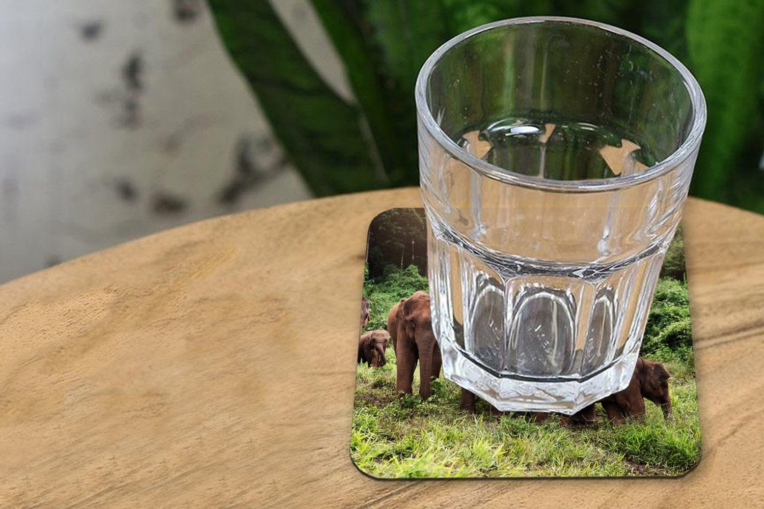 MuchoWow Glasuntersetzer Elefant - Tiere - - Grün, Wald Gras 6-tlg., Zubehör - Korkuntersetzer, Tischuntersetzer, Glasuntersetzer, für Tasse Gläser, Untersetzer