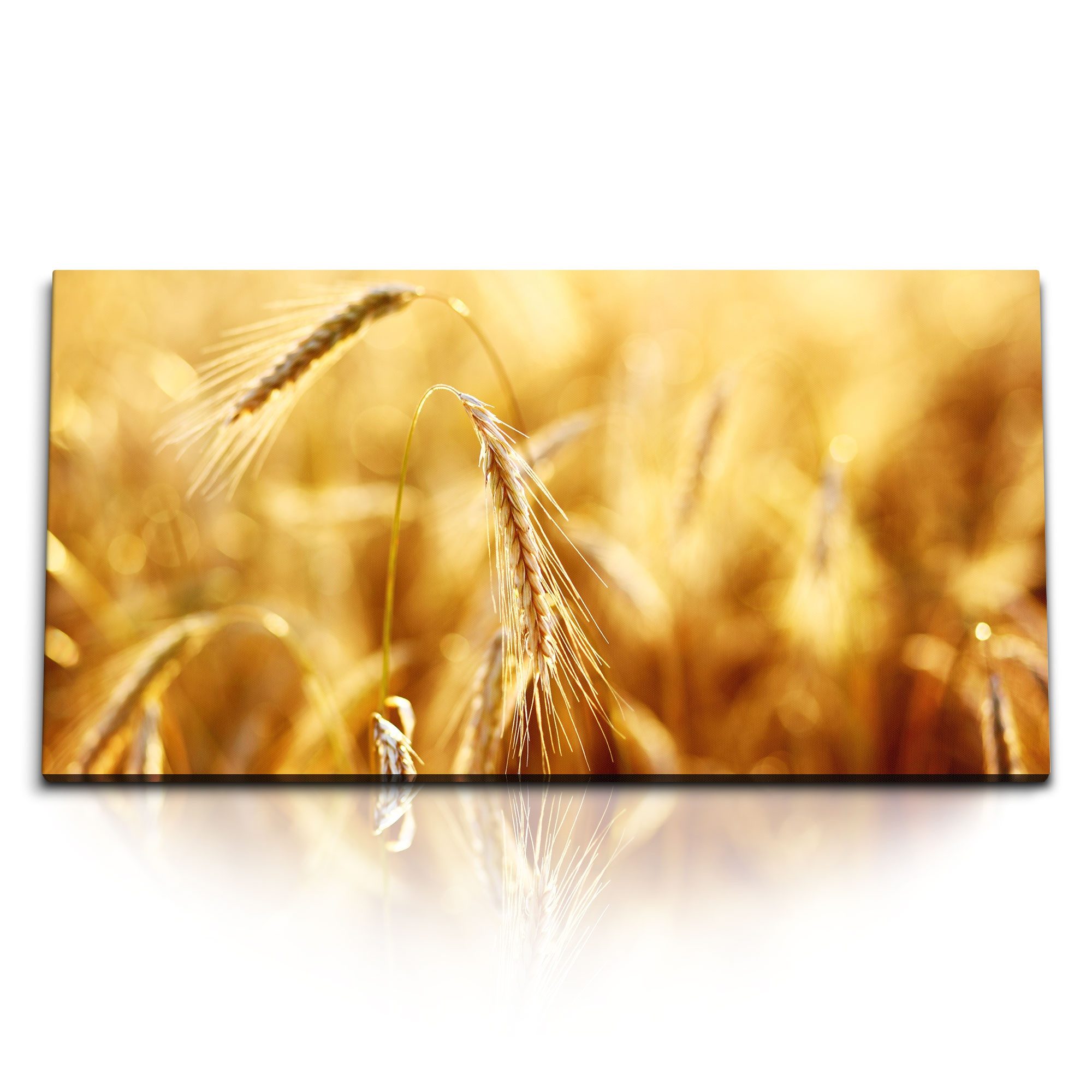Leinwandbild Kunstdruck Bilder 120x60cm Weizen Weizenhalme Sommer Ernte Sonnenschei