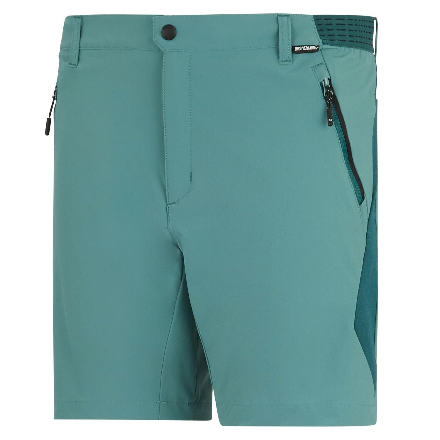 Regatta Shorts Mountain Shorts Kurze Wanderhose (0-tlg)