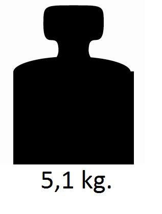 BRUNNER Buszelt Comet Heckzelt, Personen: 2, rahmenlose Konstruktion