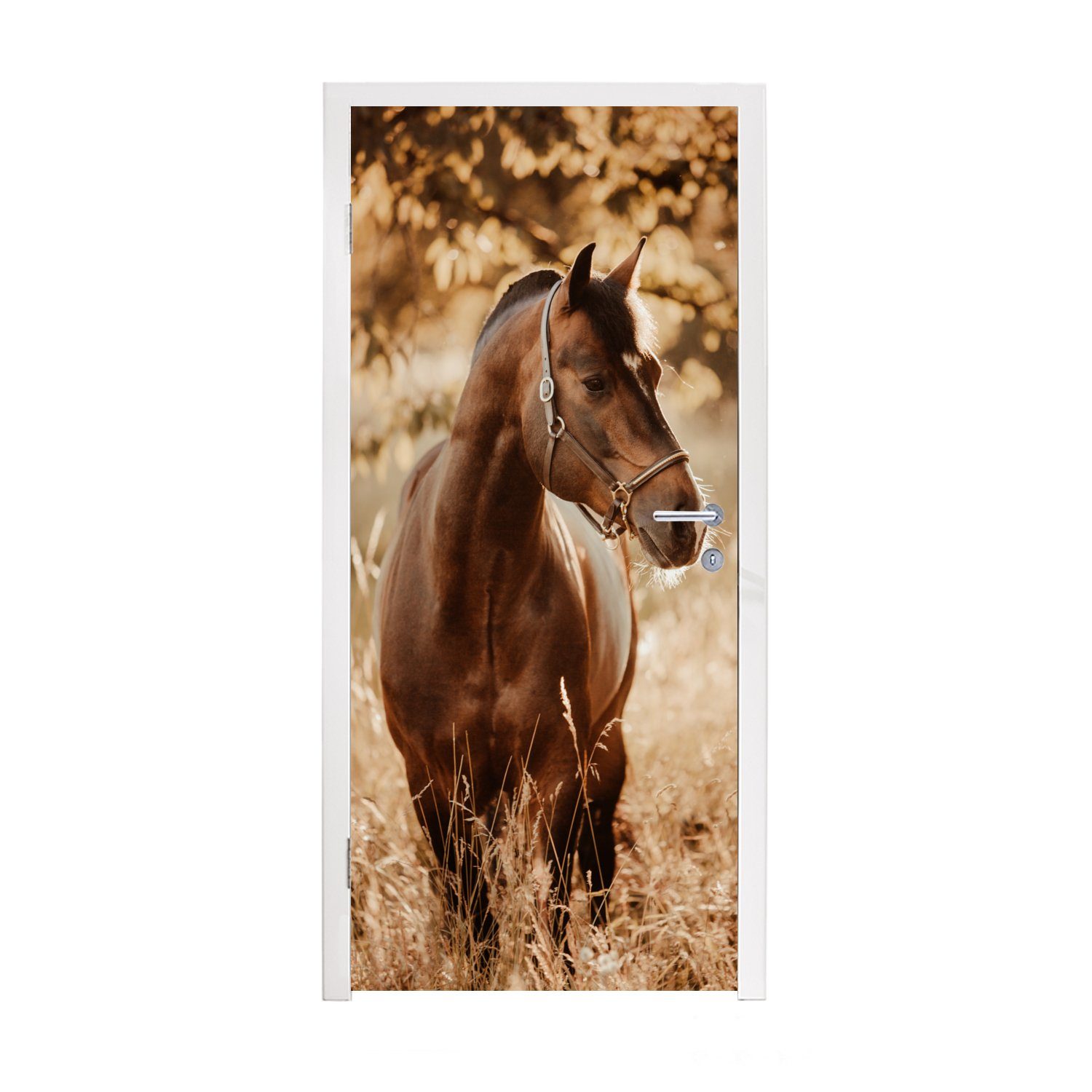 MuchoWow Türtapete Pferd - Sonne - Porträt - Natur - Braun, Matt, bedruckt, (1 St), Fototapete für Tür, Türaufkleber, 75x205 cm
