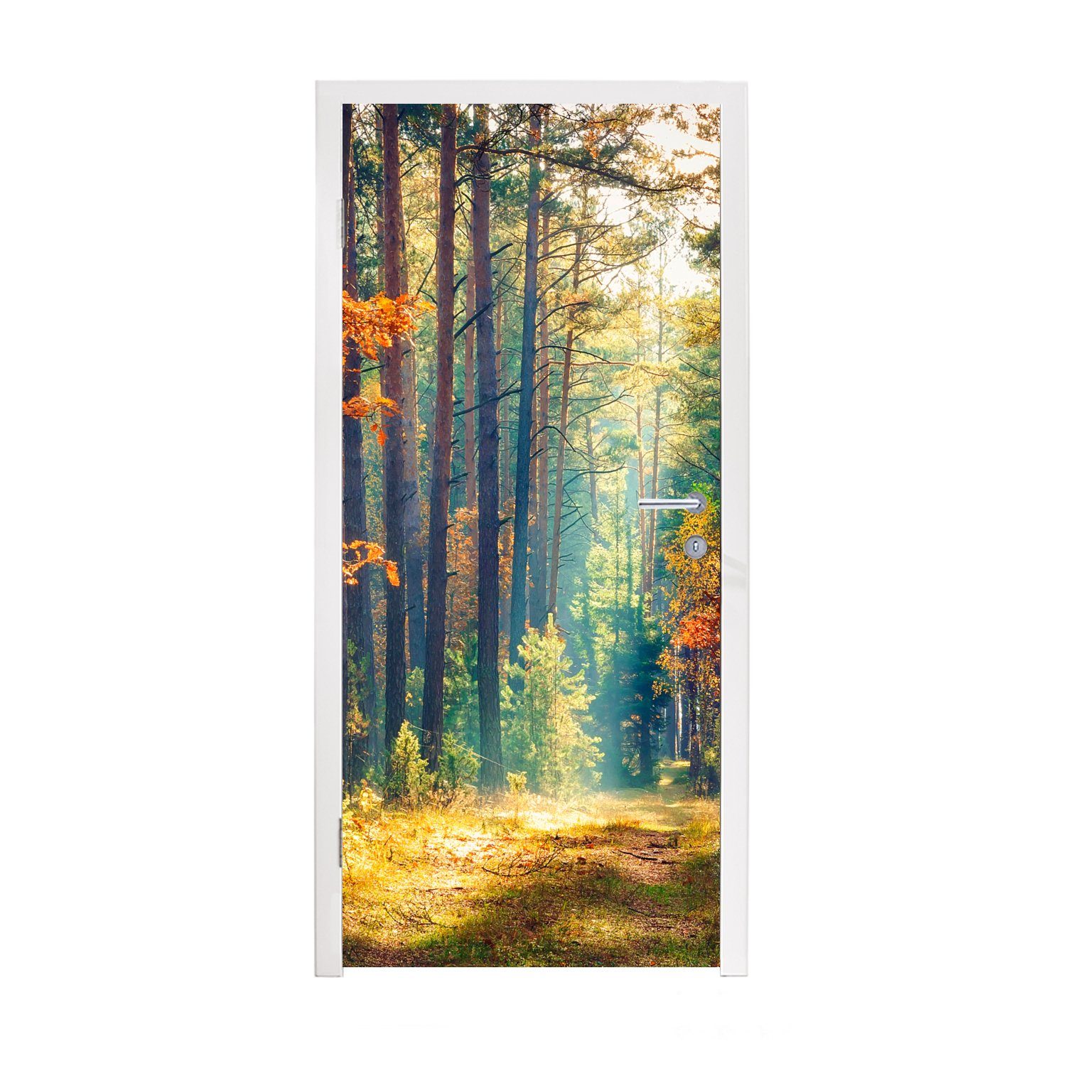 MuchoWow Türtapete Wald - Sonne - Natur - Herbst, Matt, bedruckt, (1 St), Fototapete für Tür, Türaufkleber, 75x205 cm