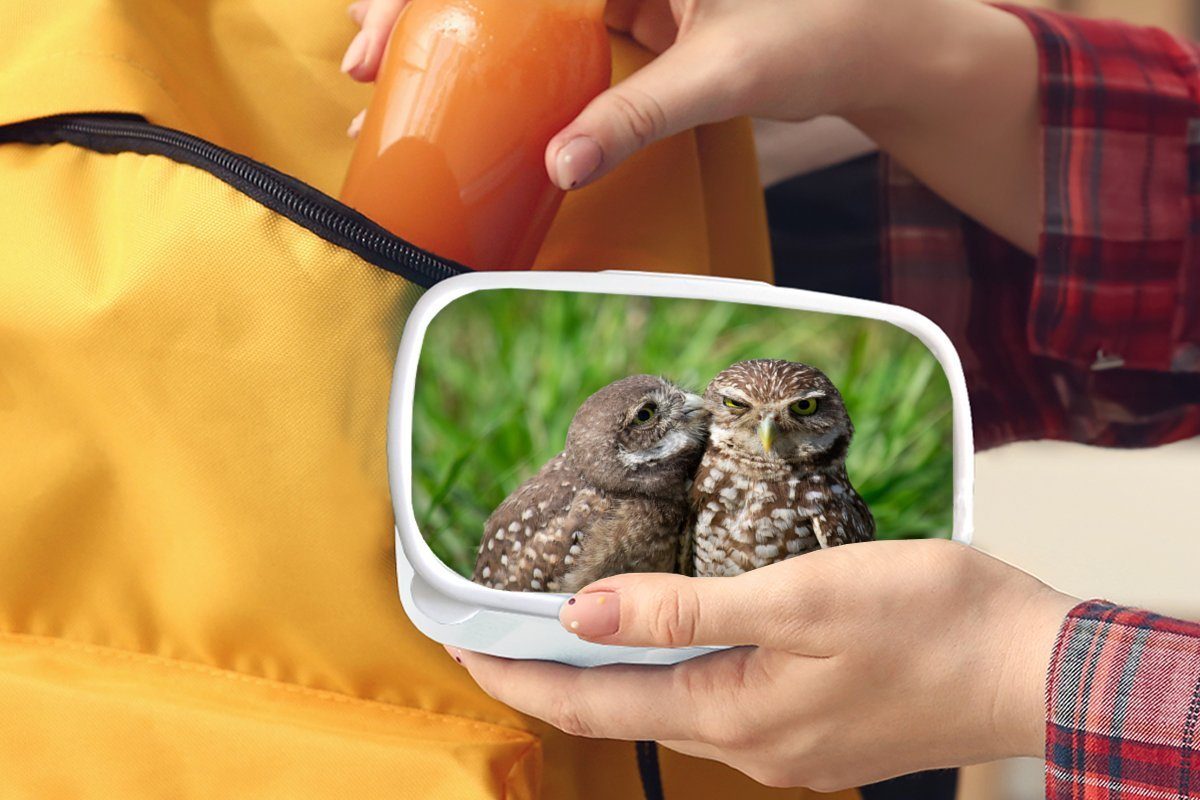 Erwachsene, - Jungs weiß (2-tlg), Mädchen Lunchbox und Brotdose, Gras, für MuchoWow - Kunststoff, und Kinder Vögel Eulen Brotbox für