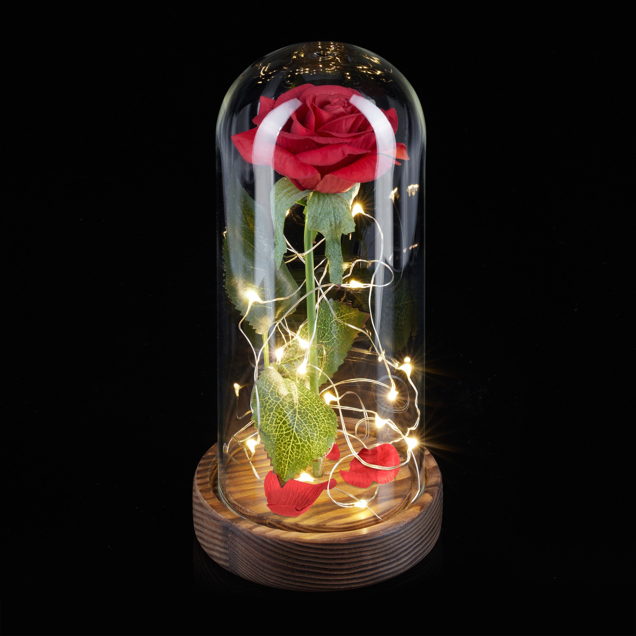 Kunstblume Ewige Rose im Glas mit Licht, relaxdays, Höhe 22 cm günstig online kaufen