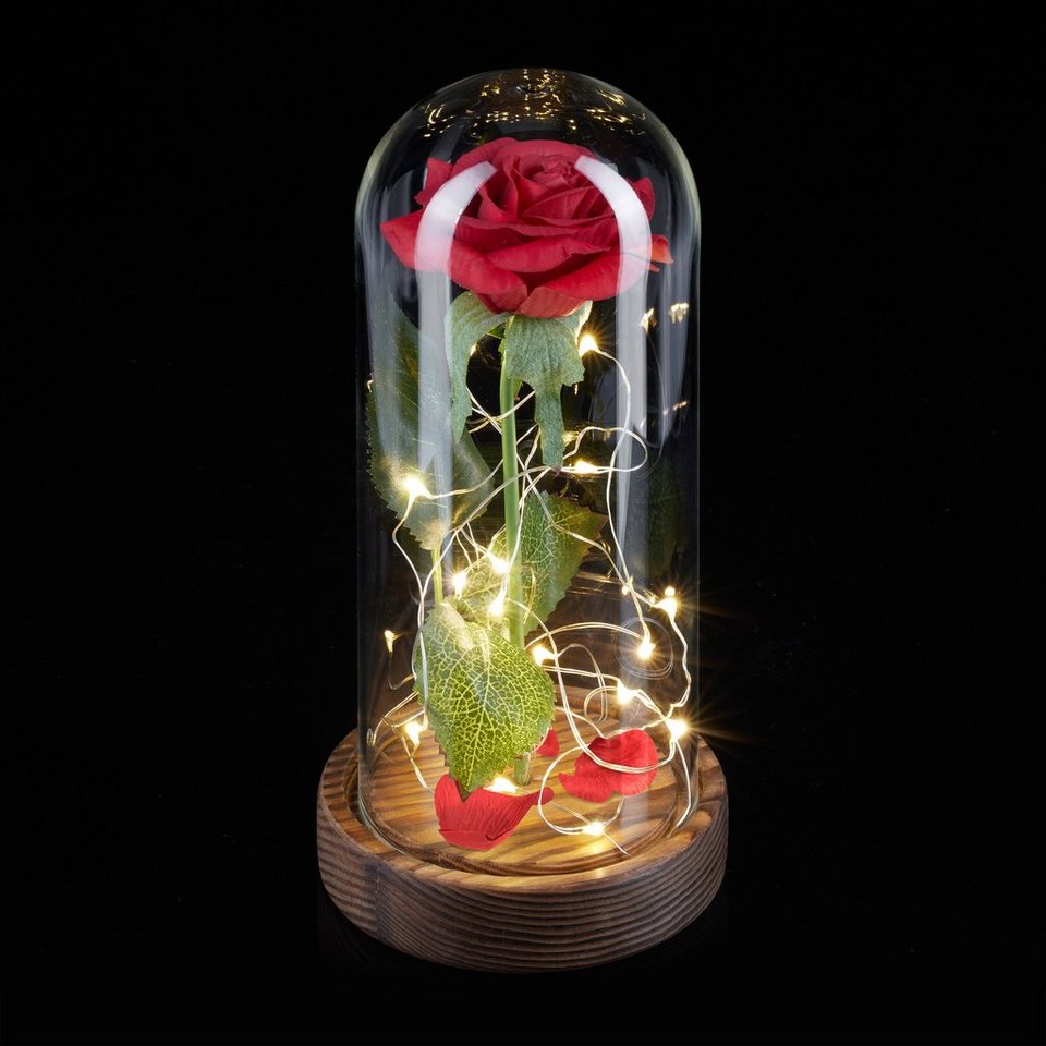 Kunstblume Ewige Rose im Glas mit Licht, relaxdays, Höhe 22 cm
