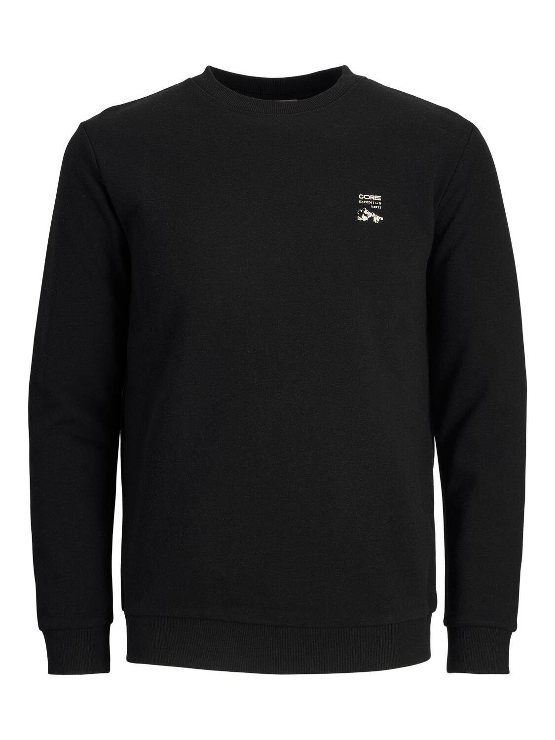 SWEAT Sweatshirt NECK JCOMAPPING & JNR CREW Jack Jones