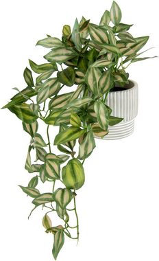 Kunstpflanze Tradescantiahänger, I.GE.A., Höhe 42 cm, Mit Übertopf Kunstpflanze Hängepflanze Pflanzenampel Kletterpflanze