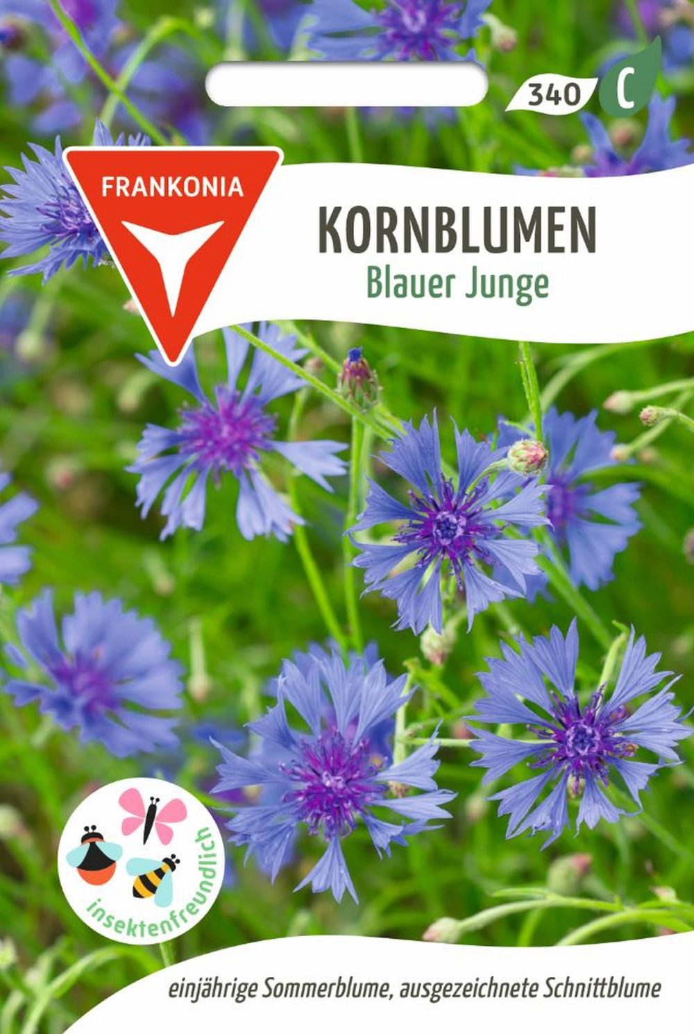FRANKONIA Blumensamen Kornblume, Blauer Junge - Saatgut Samen, centaurea cyamis