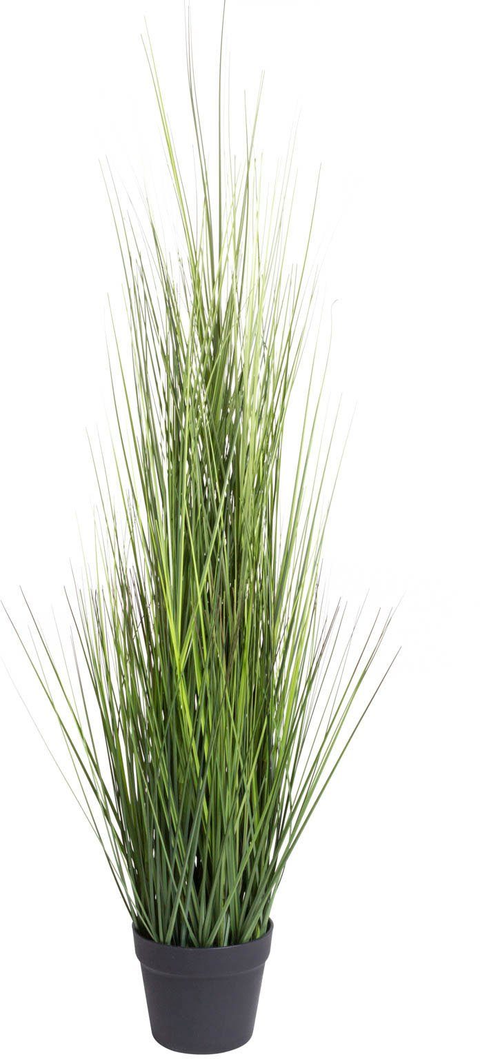 Kunstgras Gras Festuca Gras, Botanic-Haus, Höhe günstig online kaufen