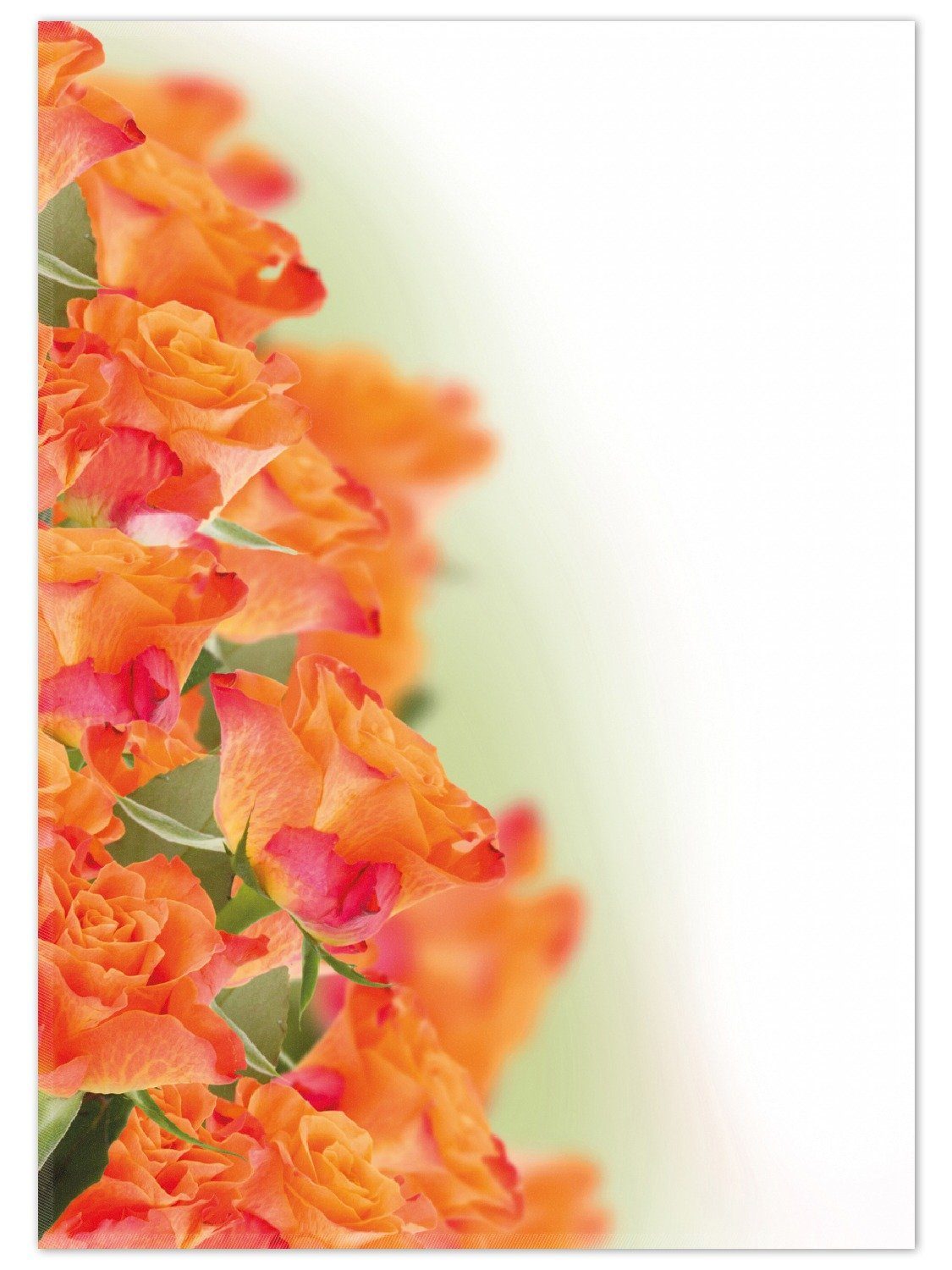 Teppich Orangene Rosenblüten im Strauß