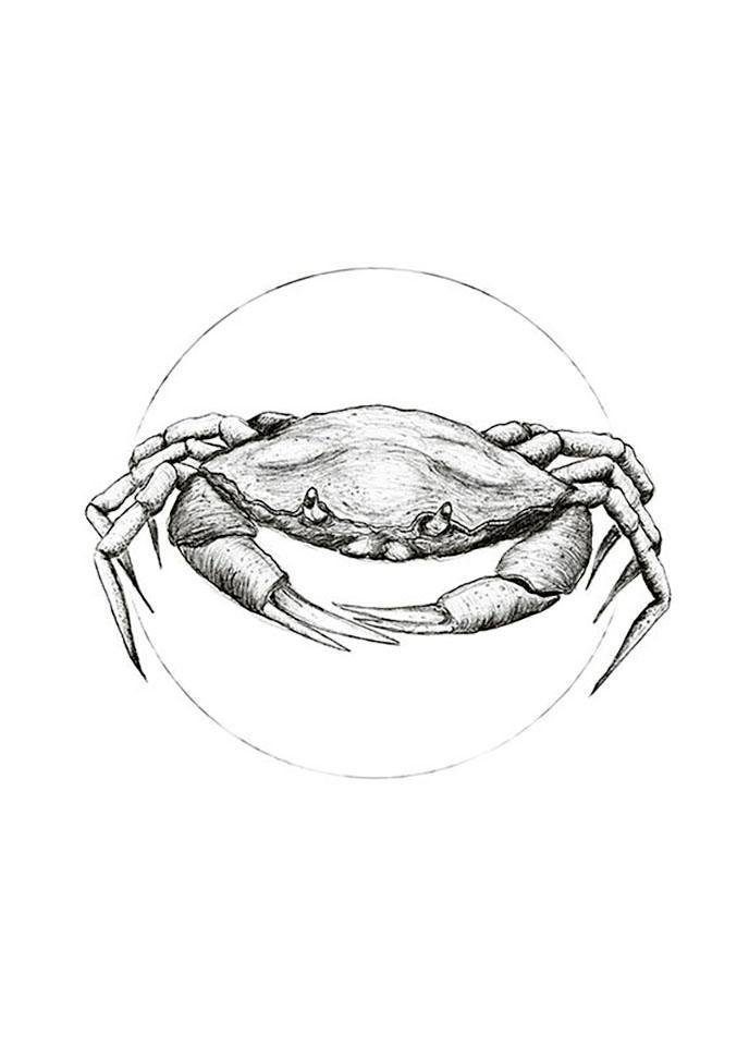 (1 Kinderzimmer, Schlafzimmer, Wohnzimmer St), Crab Poster White, Komar Tiere