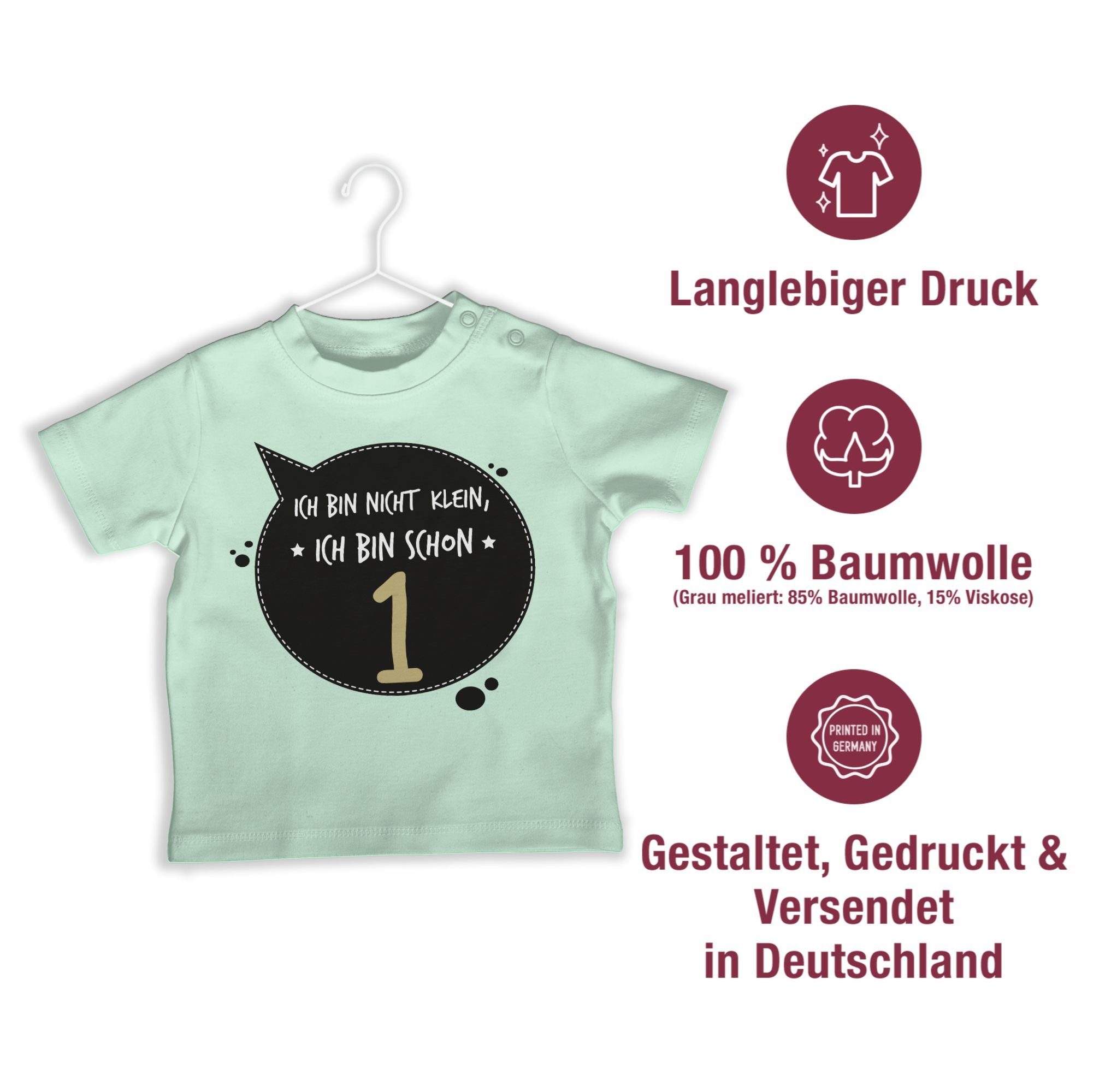 T-Shirt eins bin nicht Geburtstag ich klein, 2 1. Ich Shirtracer bin schon Mintgrün