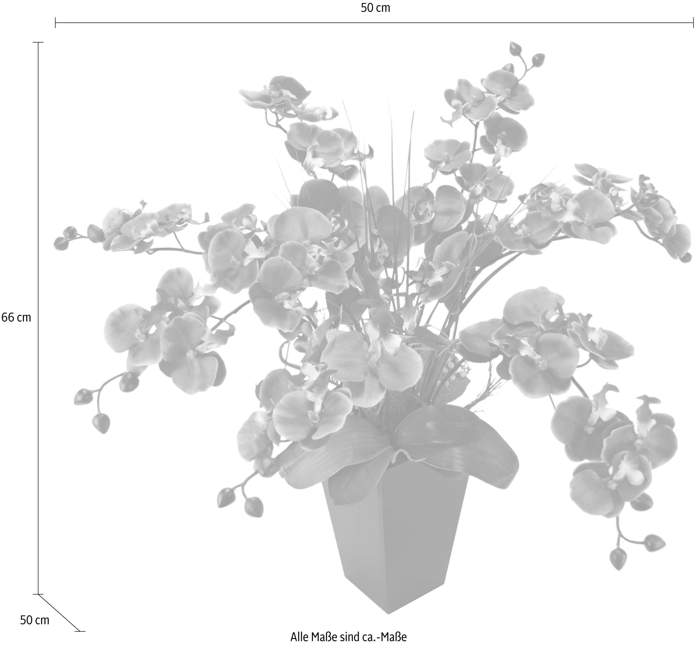 Kunstpflanze Phalaenopsis im Topf, I.GE.A., Höhe günstig online kaufen