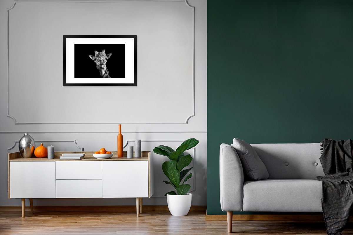 Schwarzem Rahmen, Kunstdruck, - mit Poster Tier St), Bilderrahmen Schwarz - MuchoWow Weiß, Gerahmtes - Giraffe Poster, (1