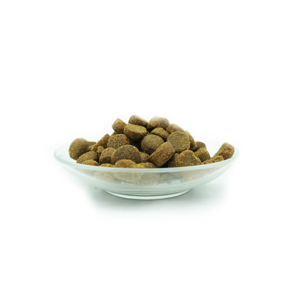 Bellfor Bellfor Hundefutter für sportliche Hunde - PREMIUM PUR Aktiv - 10 kg, für: Hunde