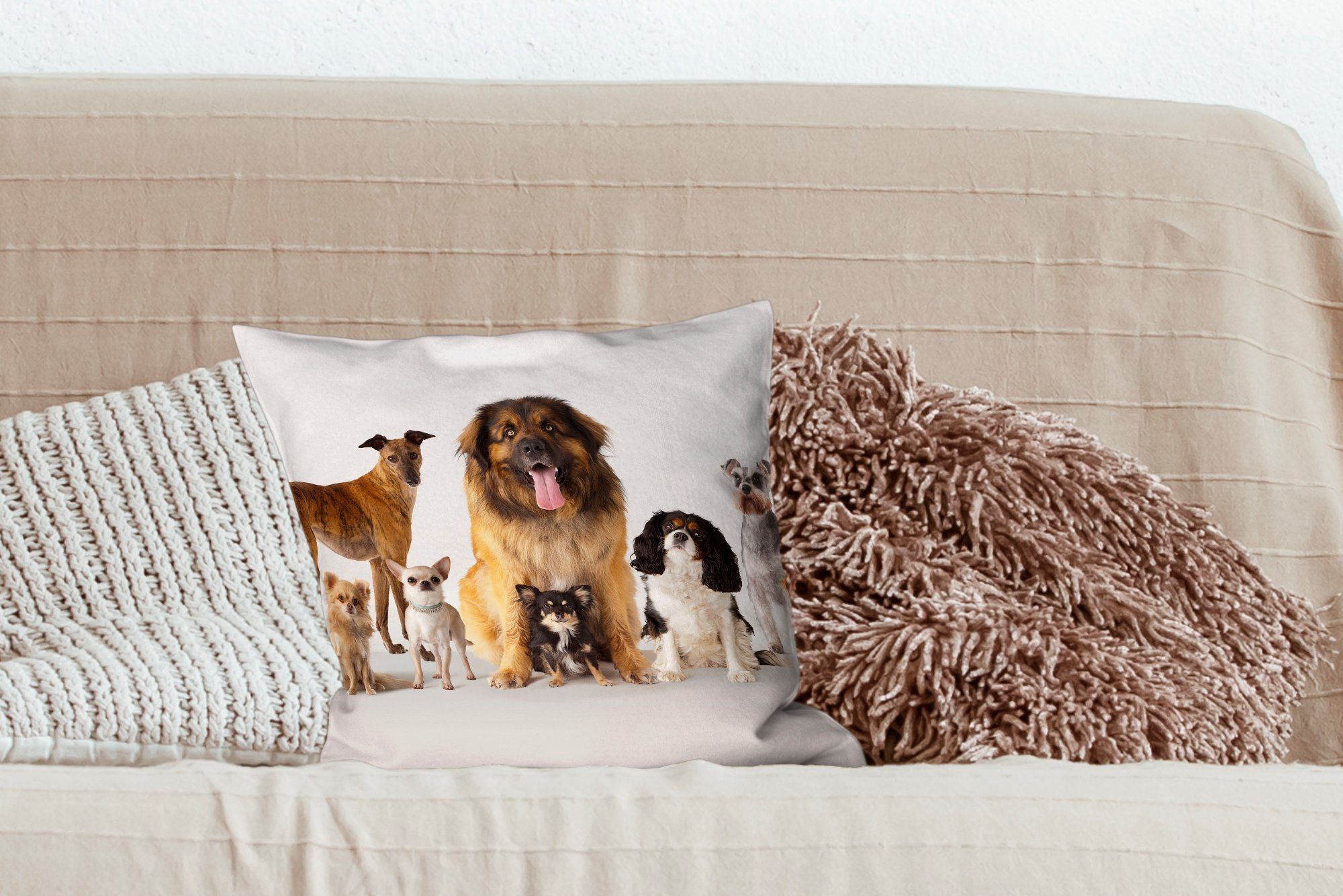 MuchoWow Dekokissen Gruppenbild von Hunden, Wohzimmer, Sofakissen mit Füllung für Deko, Schlafzimmer, Zierkissen