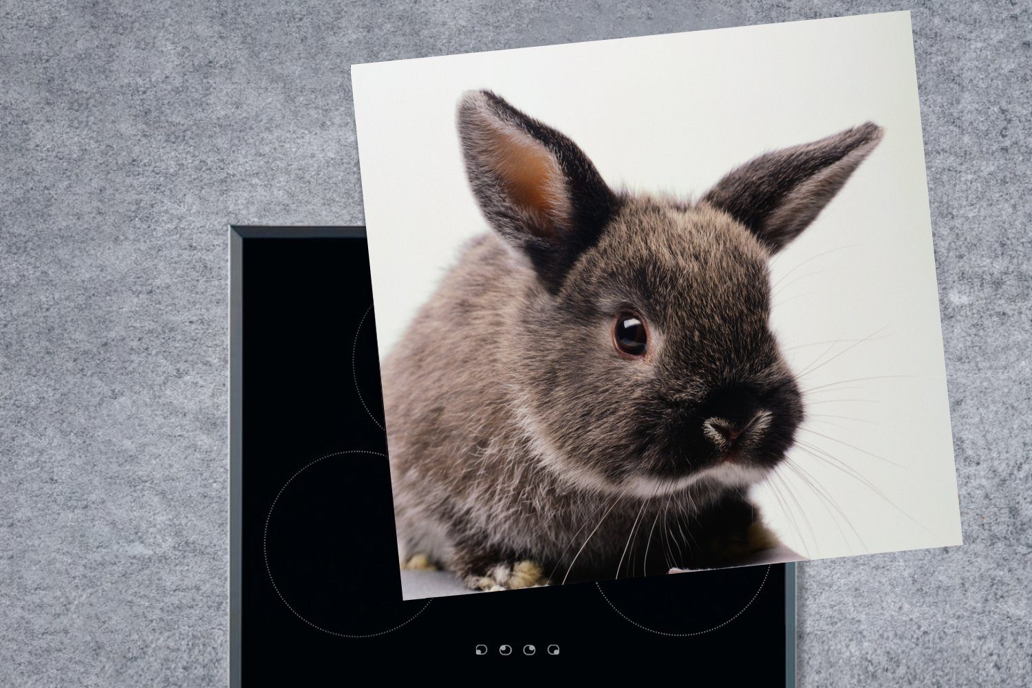 MuchoWow Herdblende-/Abdeckplatte Kaninchen - Haustier küche tlg), für Porträt, Ceranfeldabdeckung, (1 Vinyl, 78x78 - cm, Arbeitsplatte