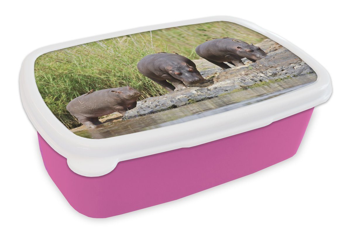 MuchoWow Lunchbox Flusspferde - Wasser - Südafrika, Kunststoff, (2-tlg), Brotbox für Erwachsene, Brotdose Kinder, Snackbox, Mädchen, Kunststoff rosa