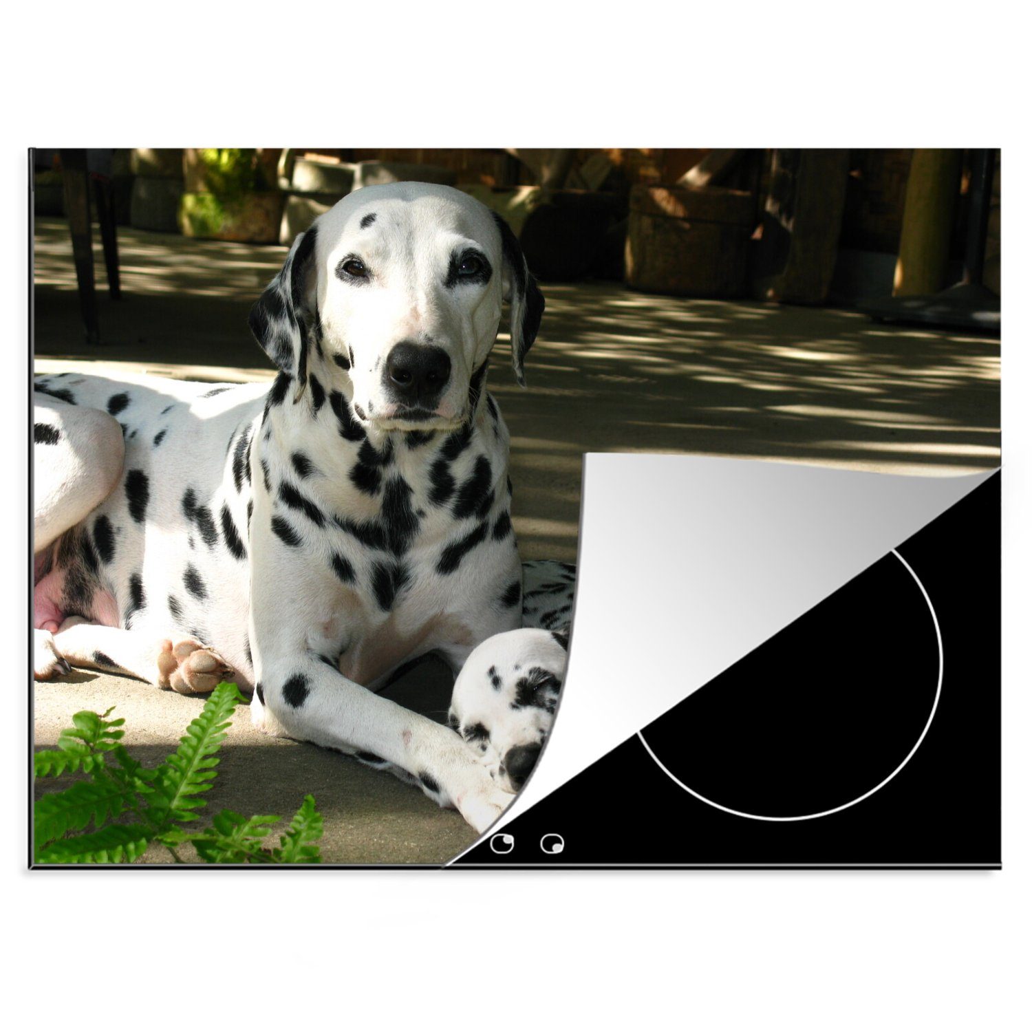 MuchoWow Herdblende-/Abdeckplatte in mit tlg), seinem cm, Arbeitsfläche Mobile Welpen, 70x52 (1 nutzbar, Vinyl, Ceranfeldabdeckung Hund Sonne der
