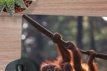 MuchoWow Gaming Mauspad Junger Orang-Utan hängt an einem Ast (1-St), Mousepad mit Rutschfester Unterseite, Gaming, 40x40 cm, XXL, Großes