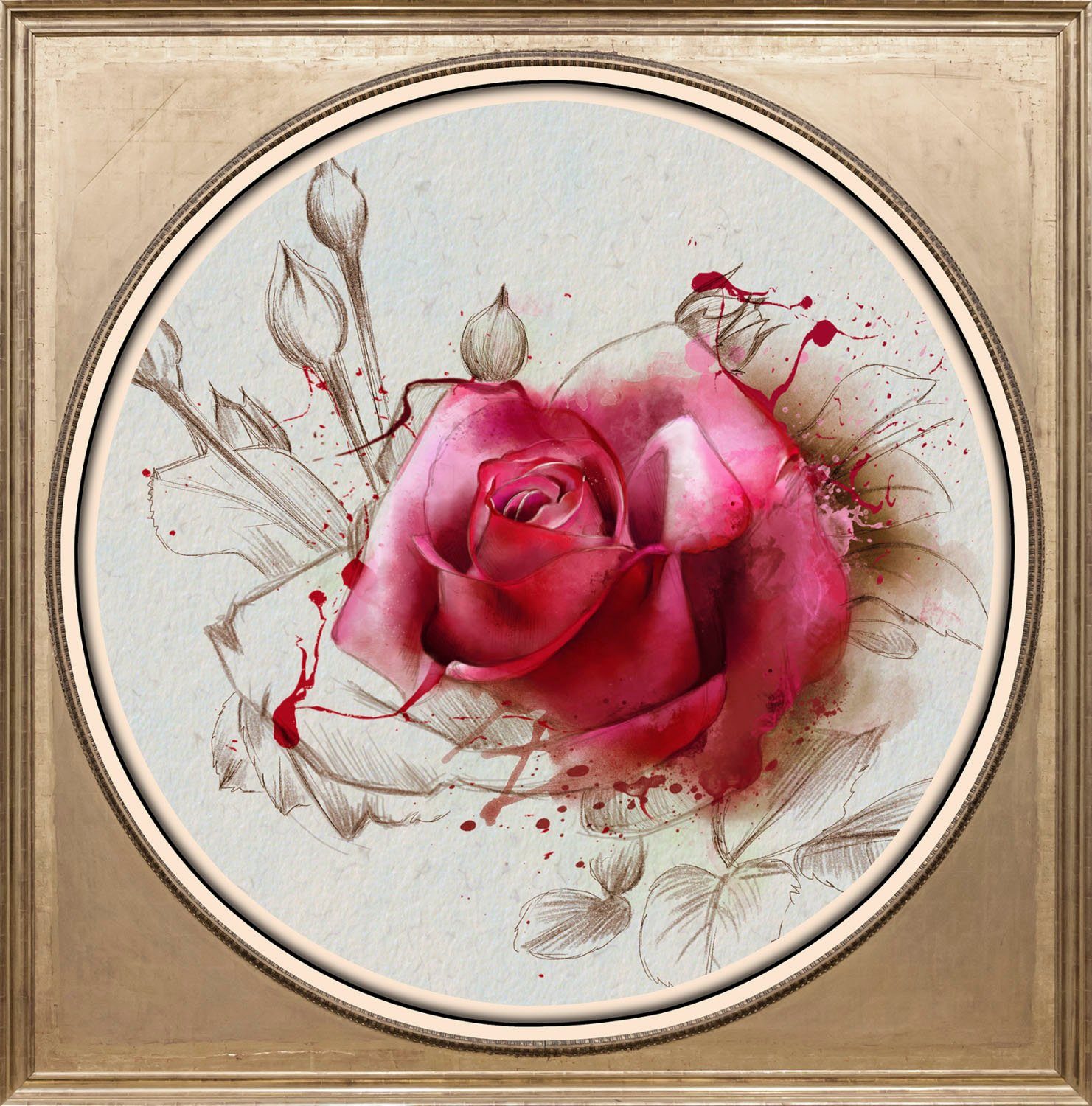 Rose queence Acrylglasbild