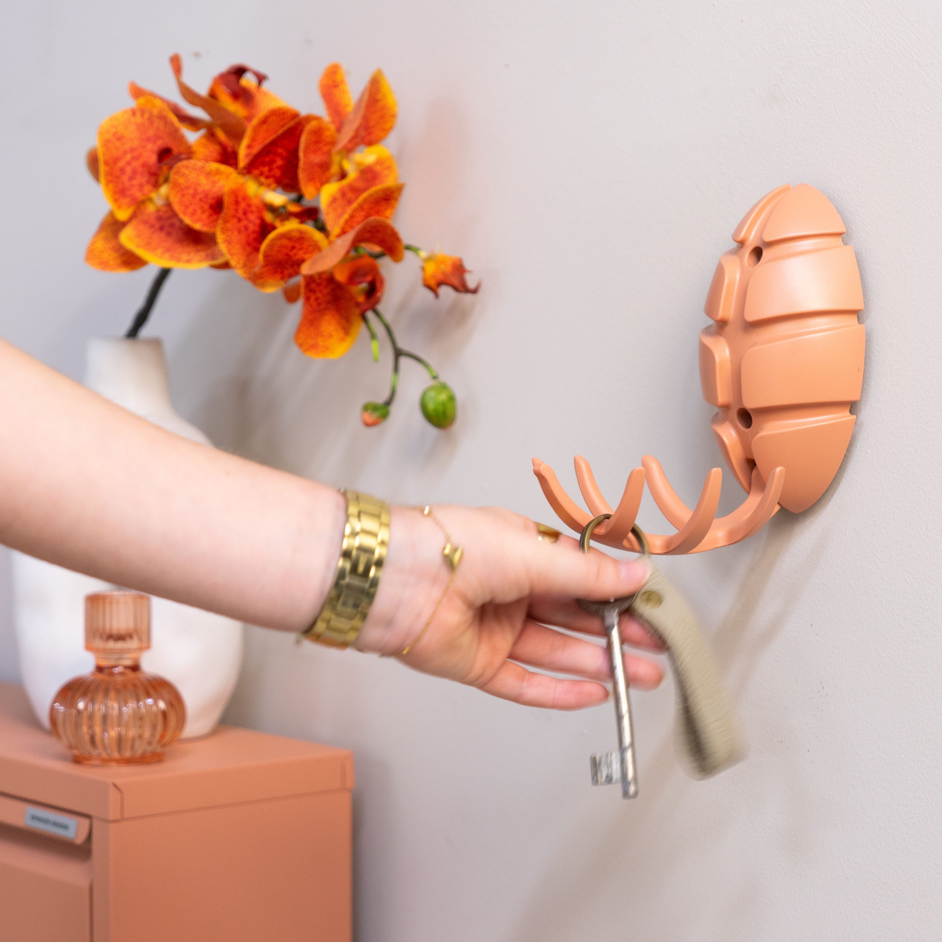 Spinder Design Garderobenhaken BUG (1 St), Design-Garderobe aus recyceltem ABS und mit klappbaren Haken