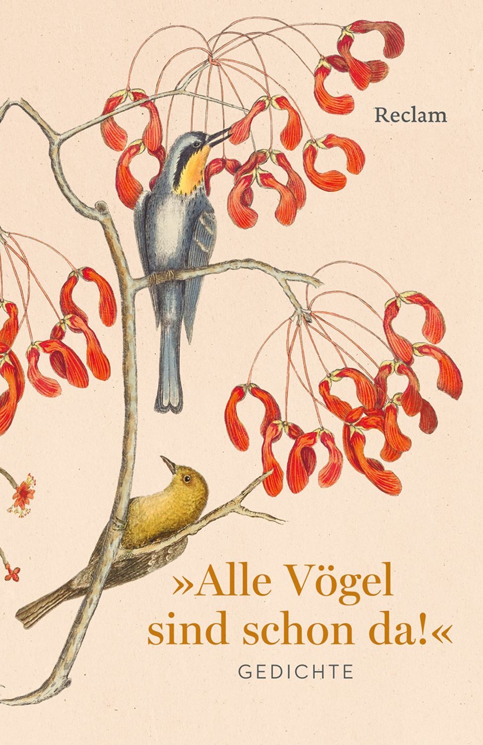 Alle Vögel sind schon da! Gedichte / diverse