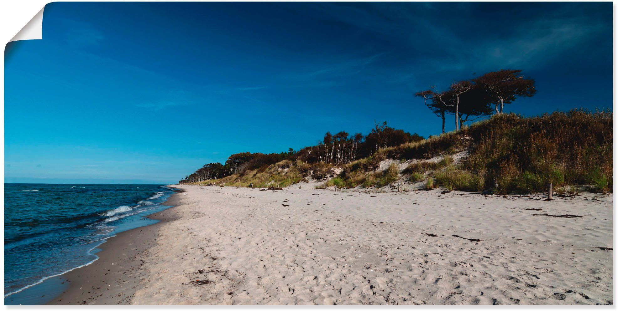 Weststrand- Am Größen St), Ostsee Strand Darss, Wandaufkleber in oder Wandbild Artland als versch. Leinwandbild, (1 Poster -