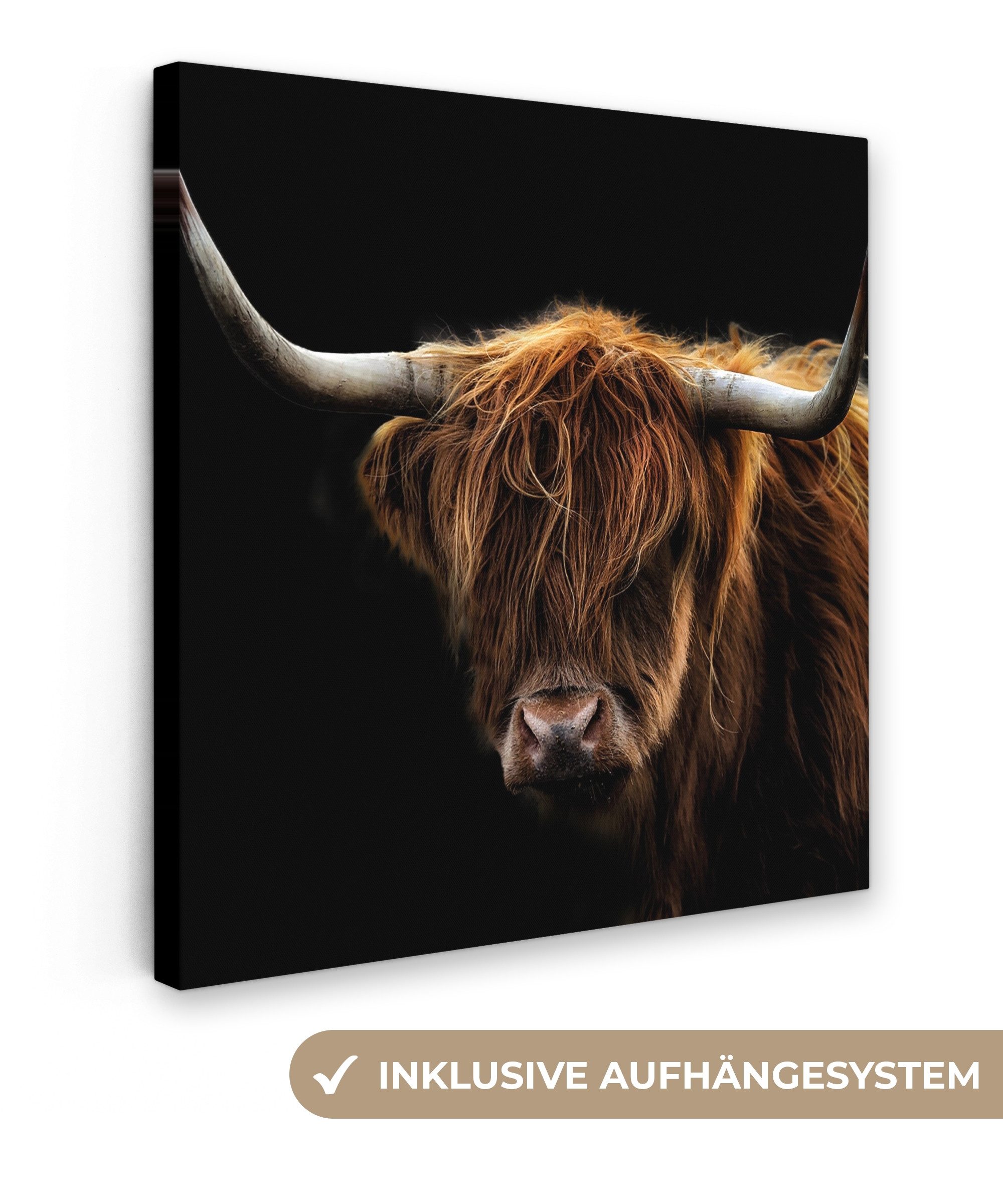 OneMillionCanvasses® Leinwandbild Schottischer Highlander - Hörner - Schwar günstig online kaufen