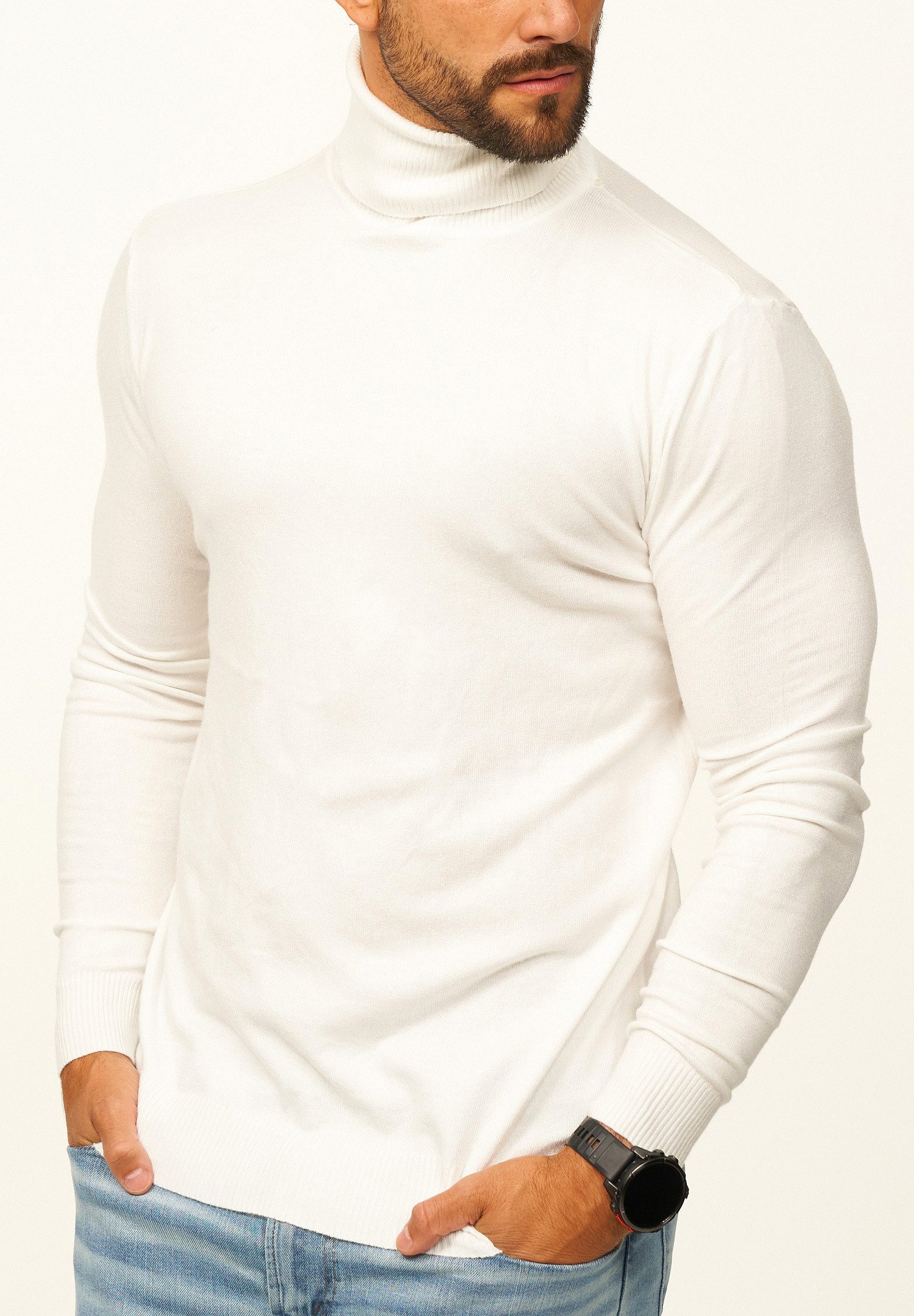 DAILY COTTON Rollkragenpullover als Feinstrick Pulli in Slim Fit für Herren Männer Winterpullover - Casual & Business Look Rolli