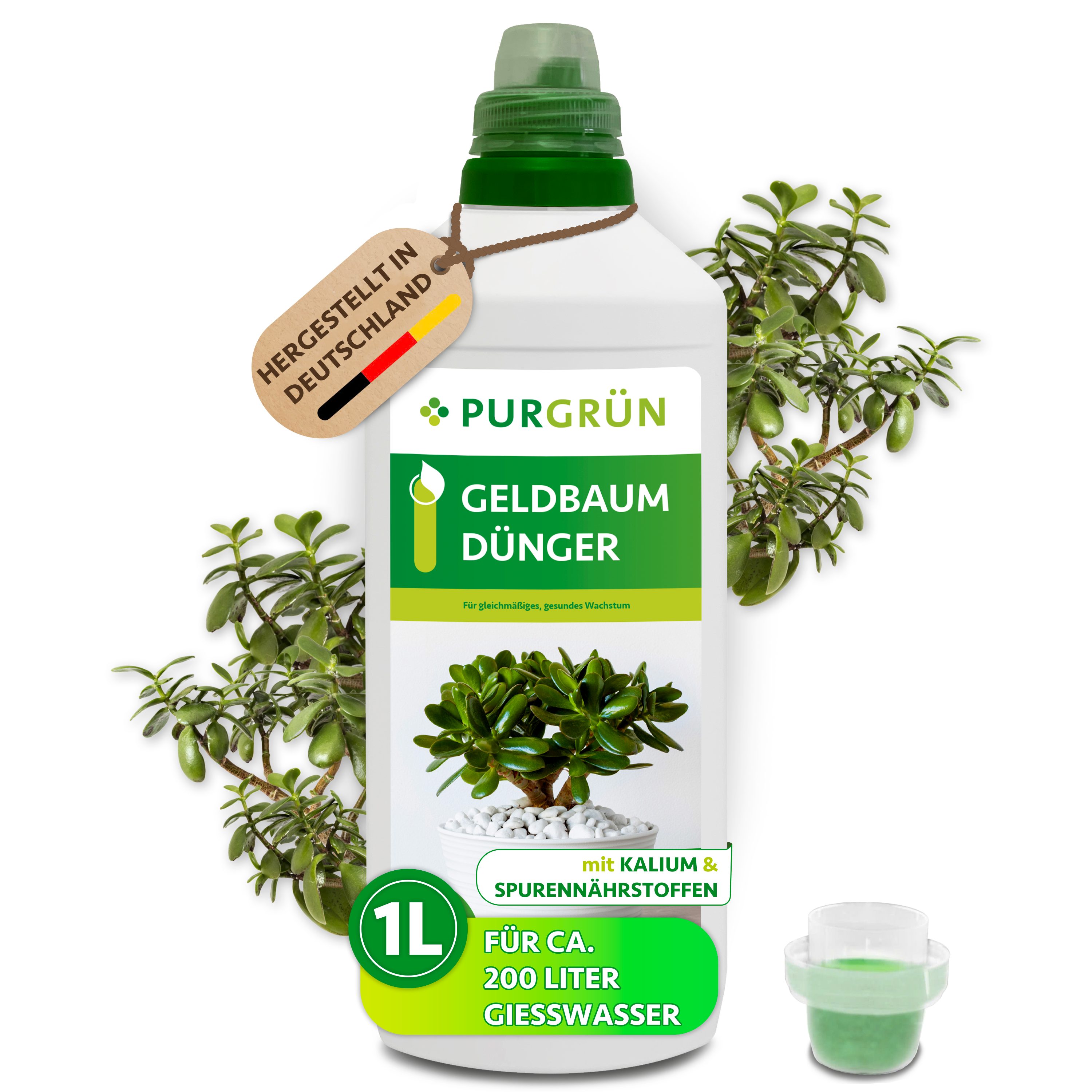 Purgrün Universaldünger Geldbaum Dünger, NPK 3+5+7, Kalium gegen Trockenstress, 1L, Flüssigdünger, 1-St., 1 Liter