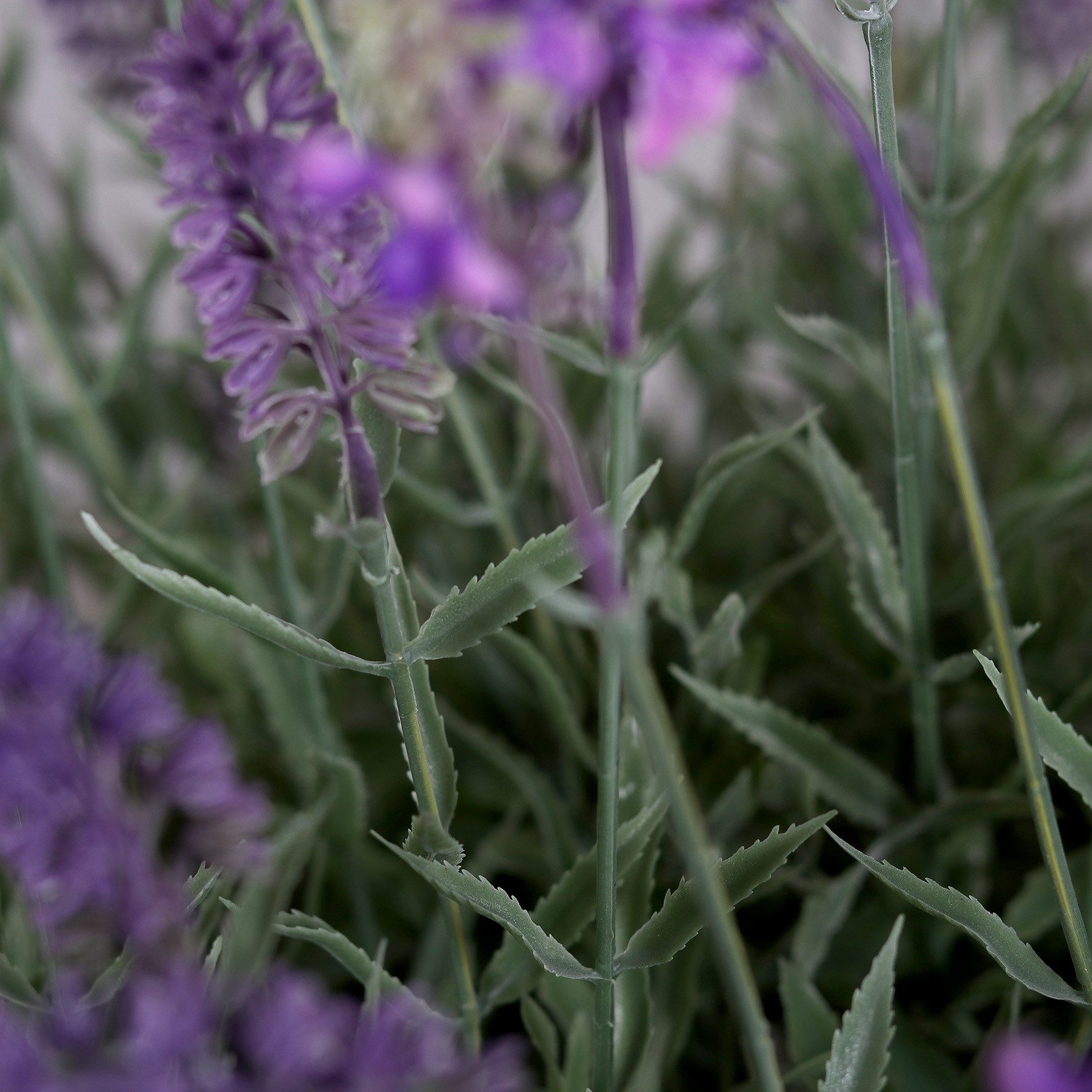Kunstblume Lavendel in runder Dekoschale 48x42cm DP künstliche Pflanzen Blumen Lavendelschale, Seidenblumen Roß, Höhe 48 cm – Bild 3 von 4