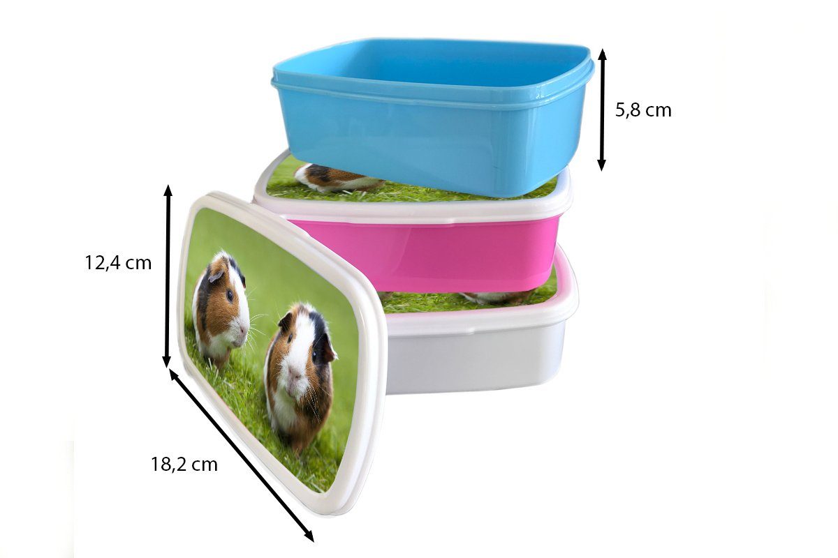 MuchoWow Lunchbox weiß (2-tlg), Erwachsene, Brotdose, Brotbox Kunststoff, Jungs für und Mädchen für Zwei Kinder und Meerschweinchen